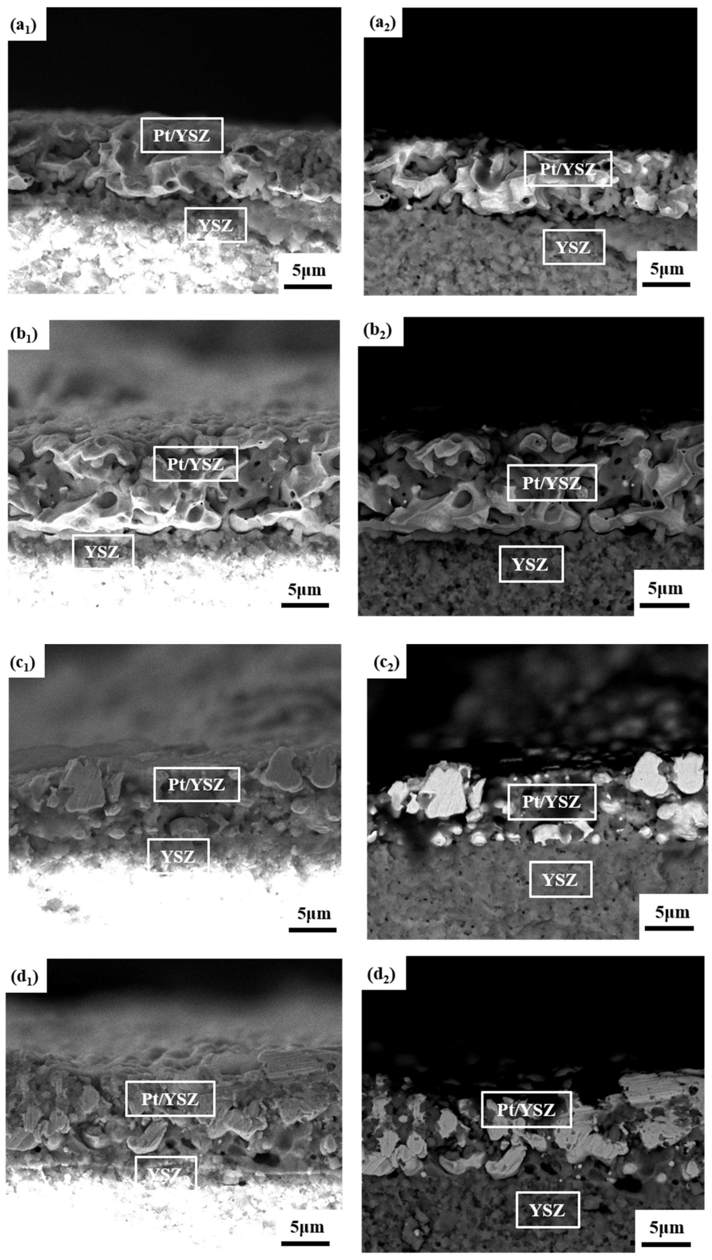 Materials 15 03471 g006a