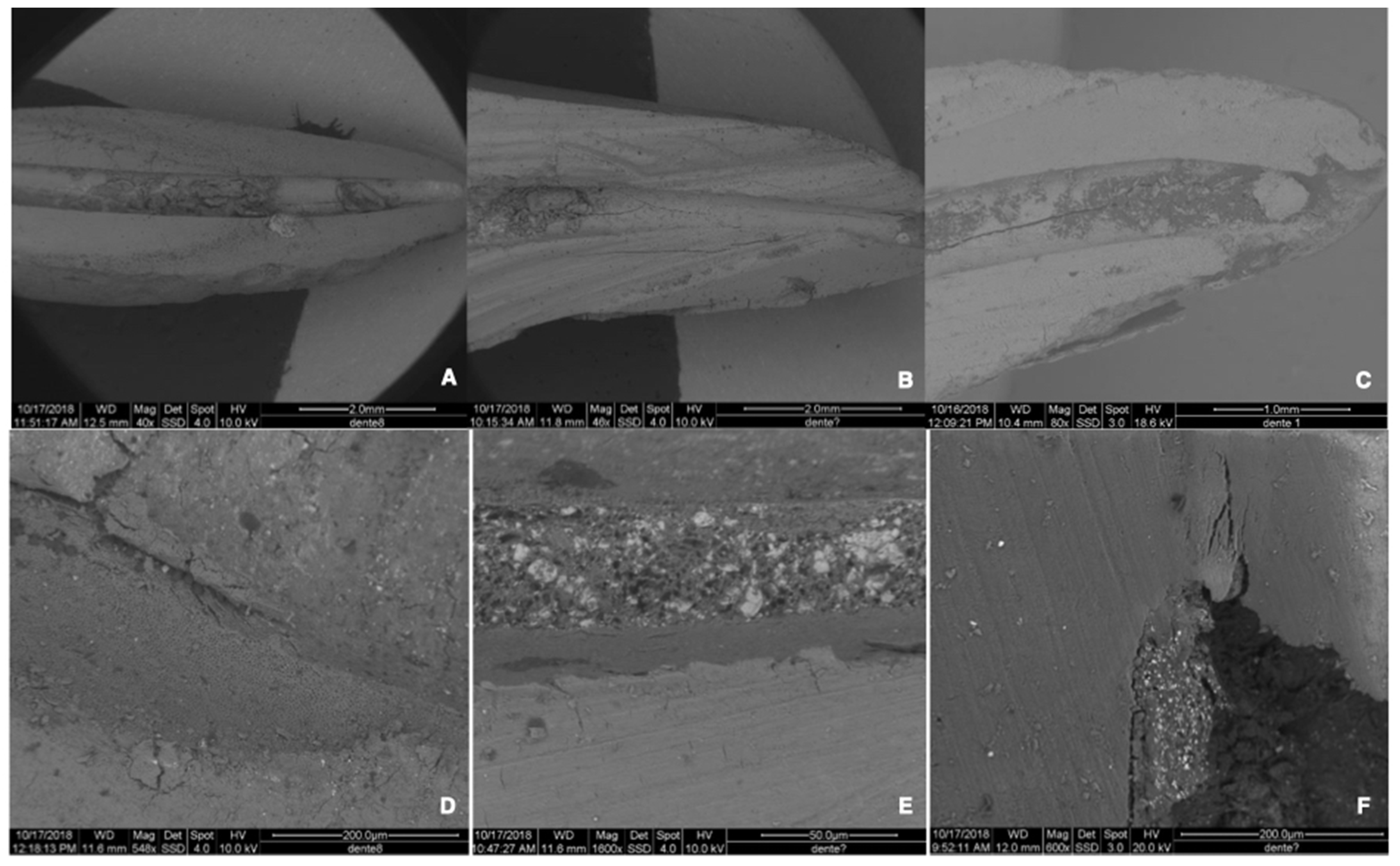 Materials 15 03501 g003