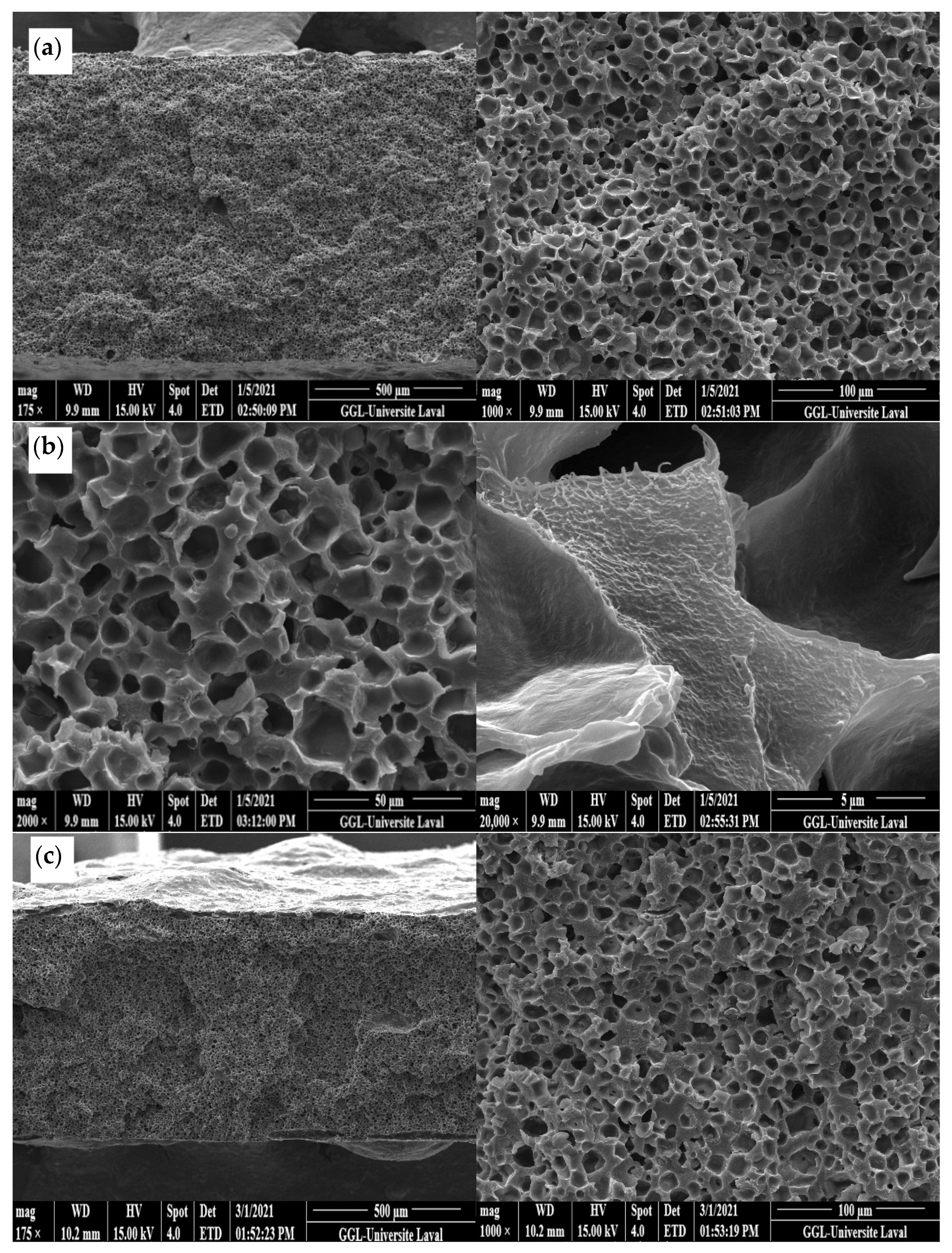 Materials 15 03537 g004a