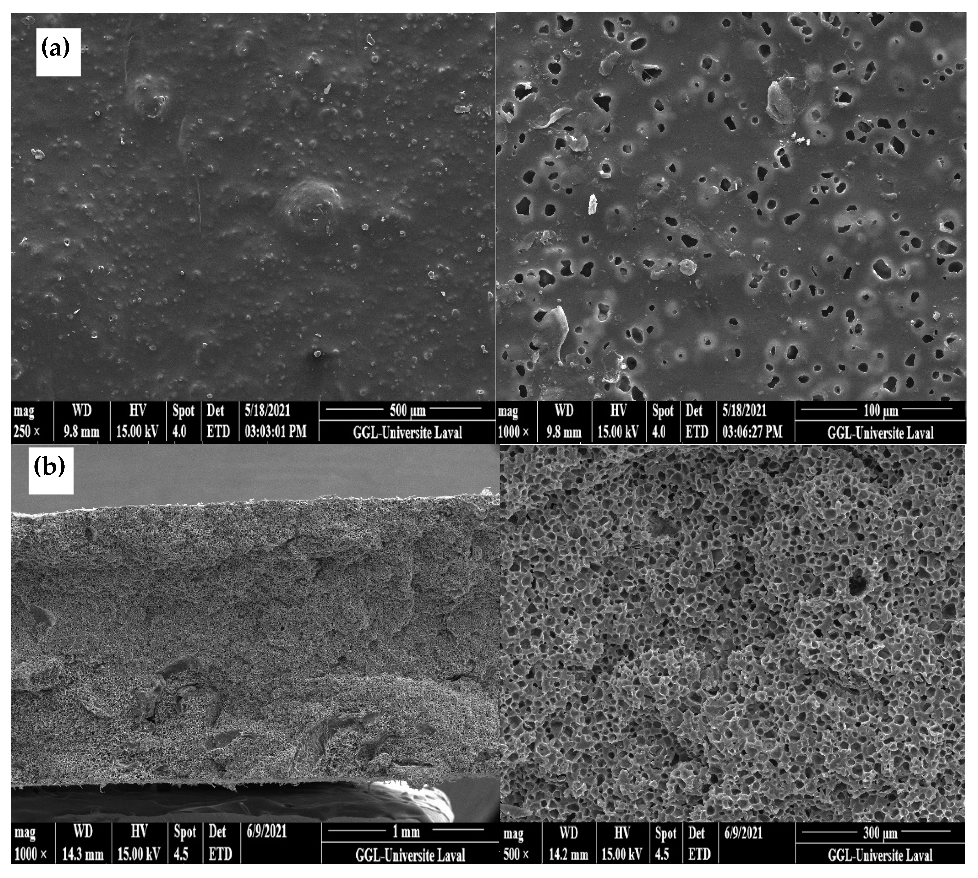 Materials 15 03537 g005a