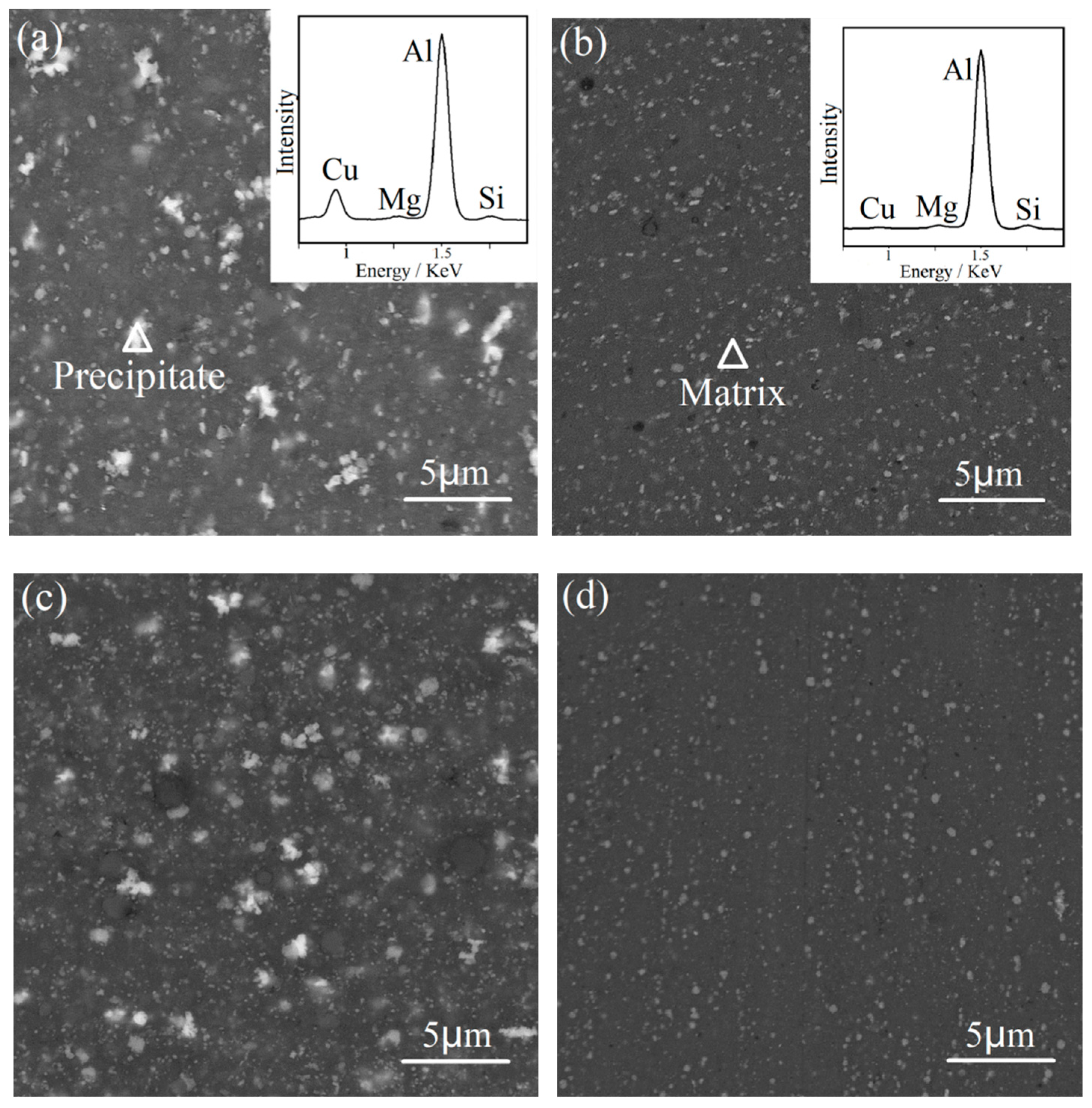 Materials 15 03547 g004 550