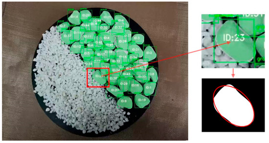 A Numerical Measurement Method for Dynamic Granular Materials