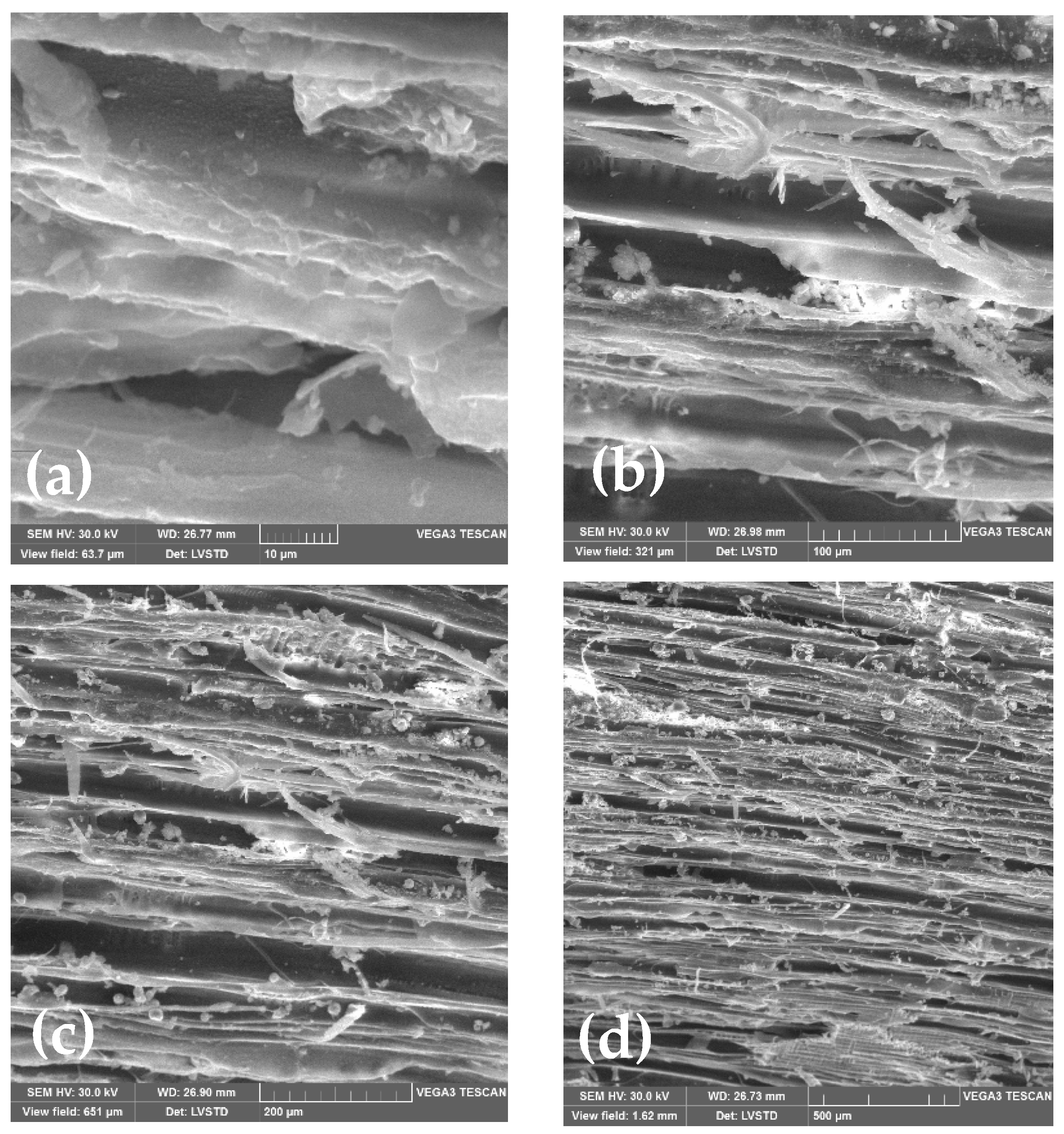 Materials 15 03572 g004 Materials 15 03572 g004