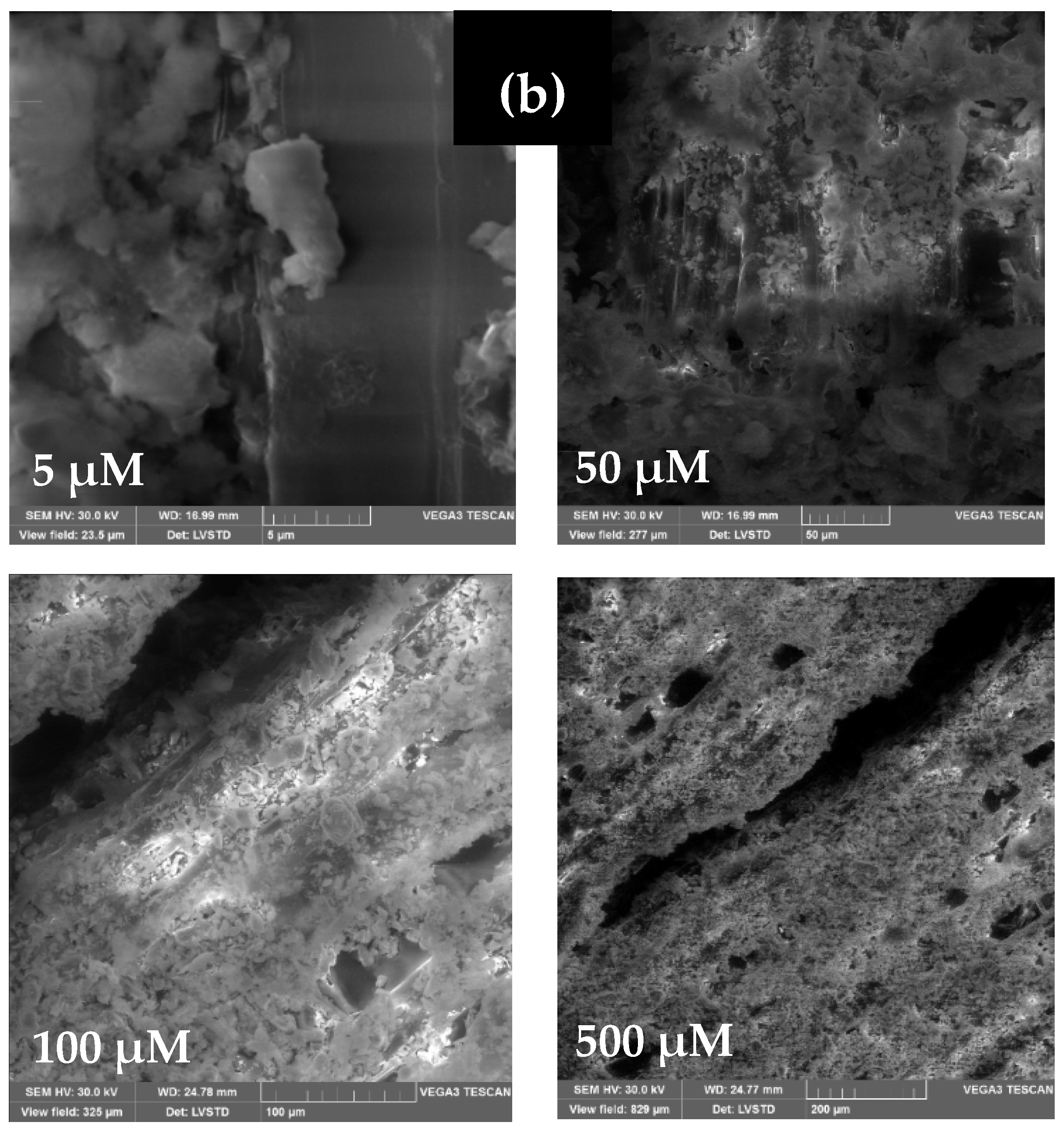 Materials 15 03572 g011b Materials 15 03572 g011b