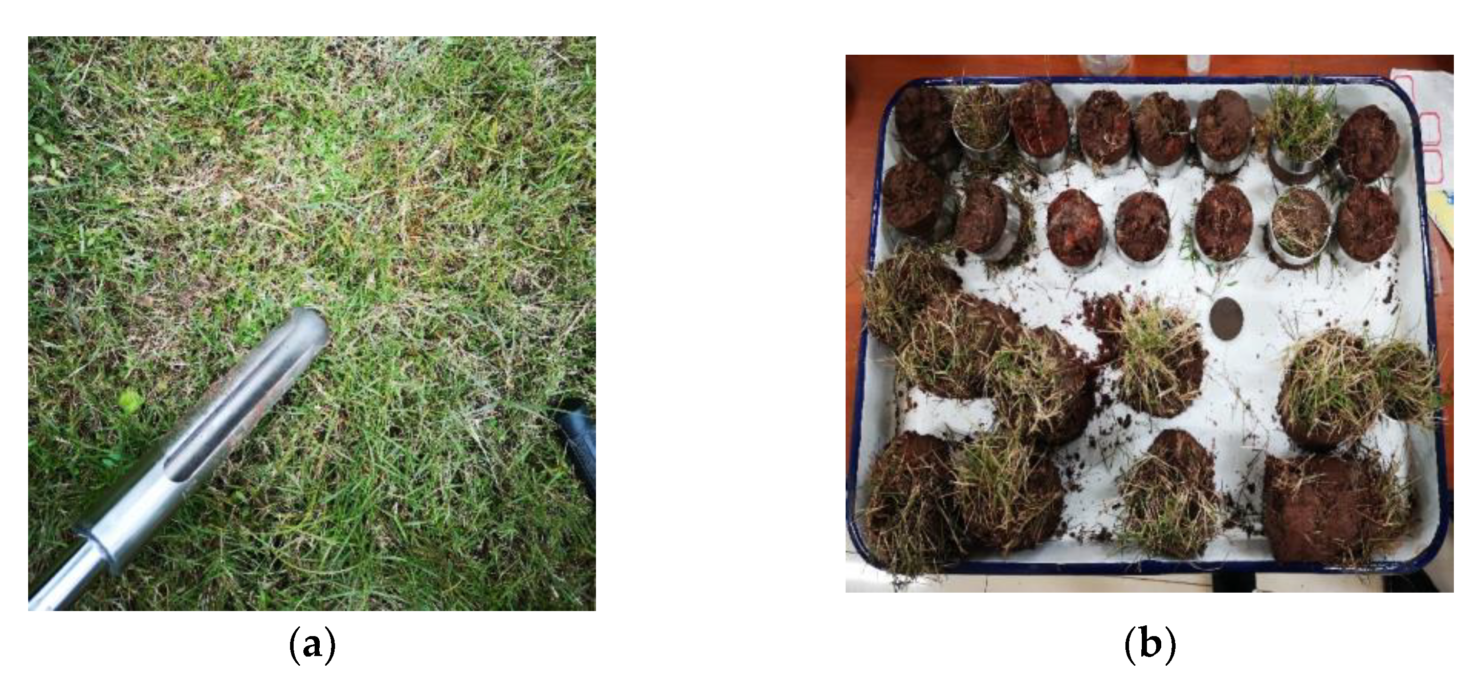 Materials 15 03586 g001 550