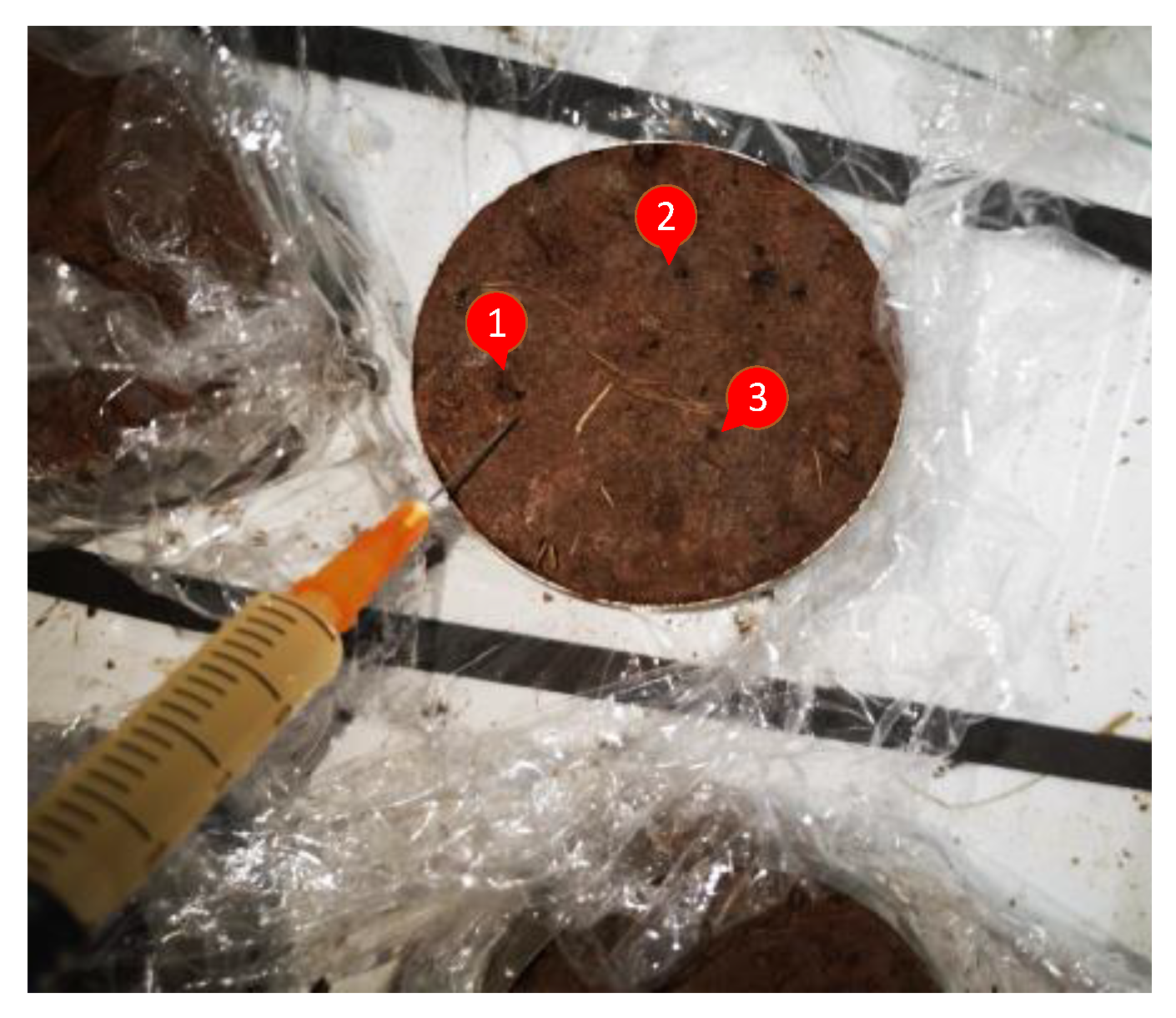 Materials 15 03586 g002 550