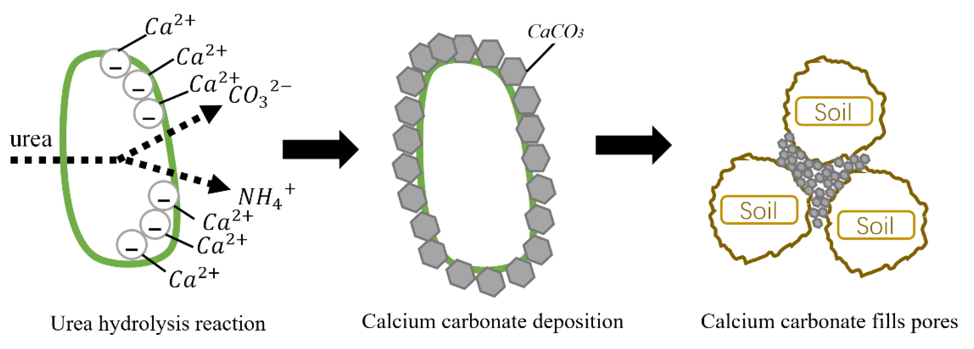 Materials 15 03586 g003 550