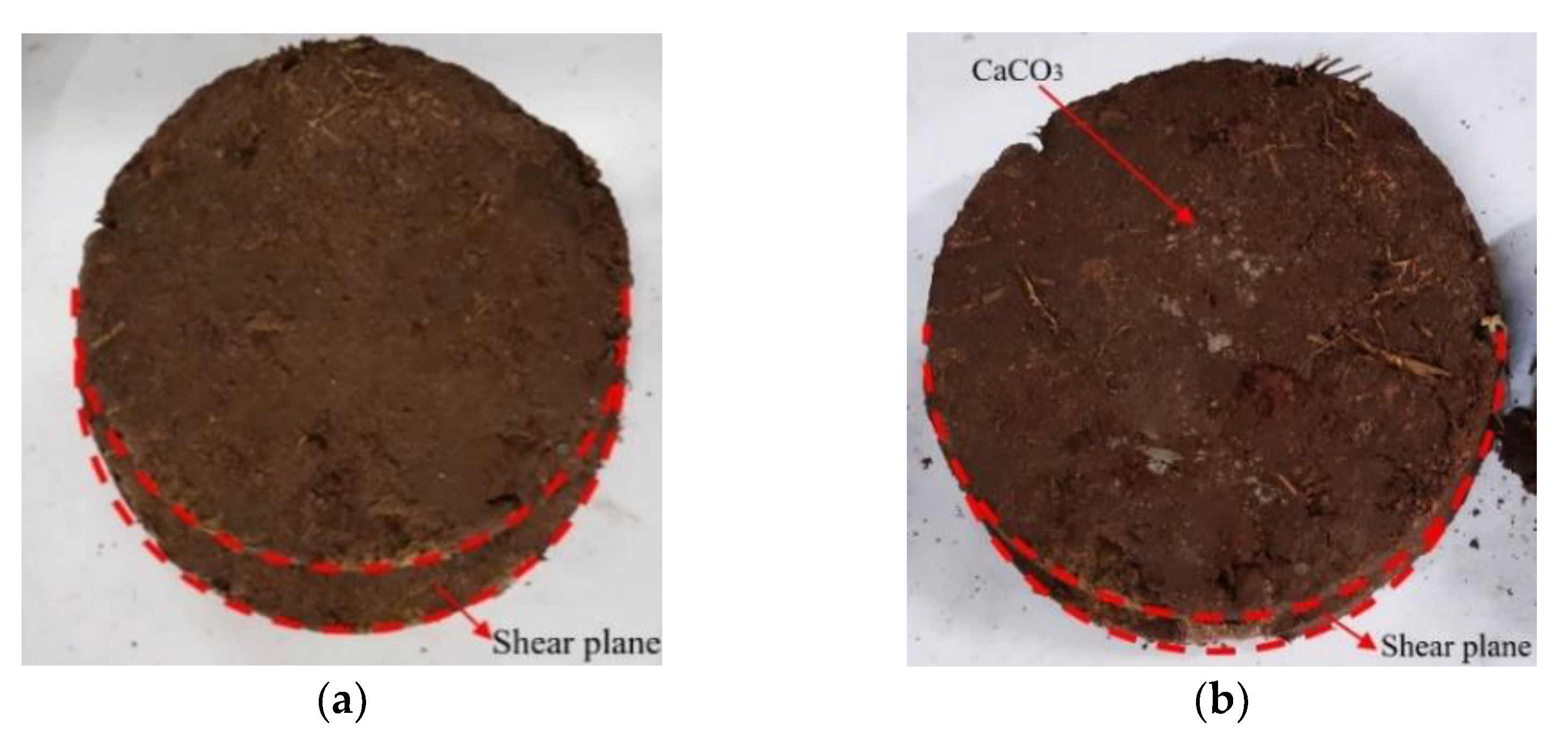 Materials 15 03586 g007 550