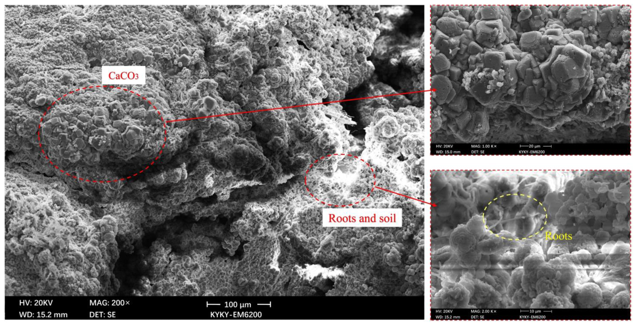 Materials 15 03586 g009 550