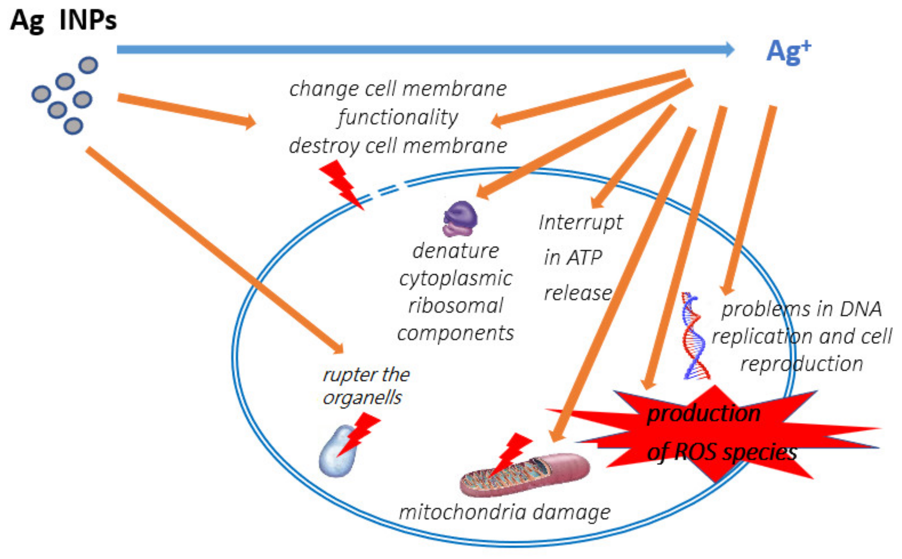 Materials 15 03602 g001