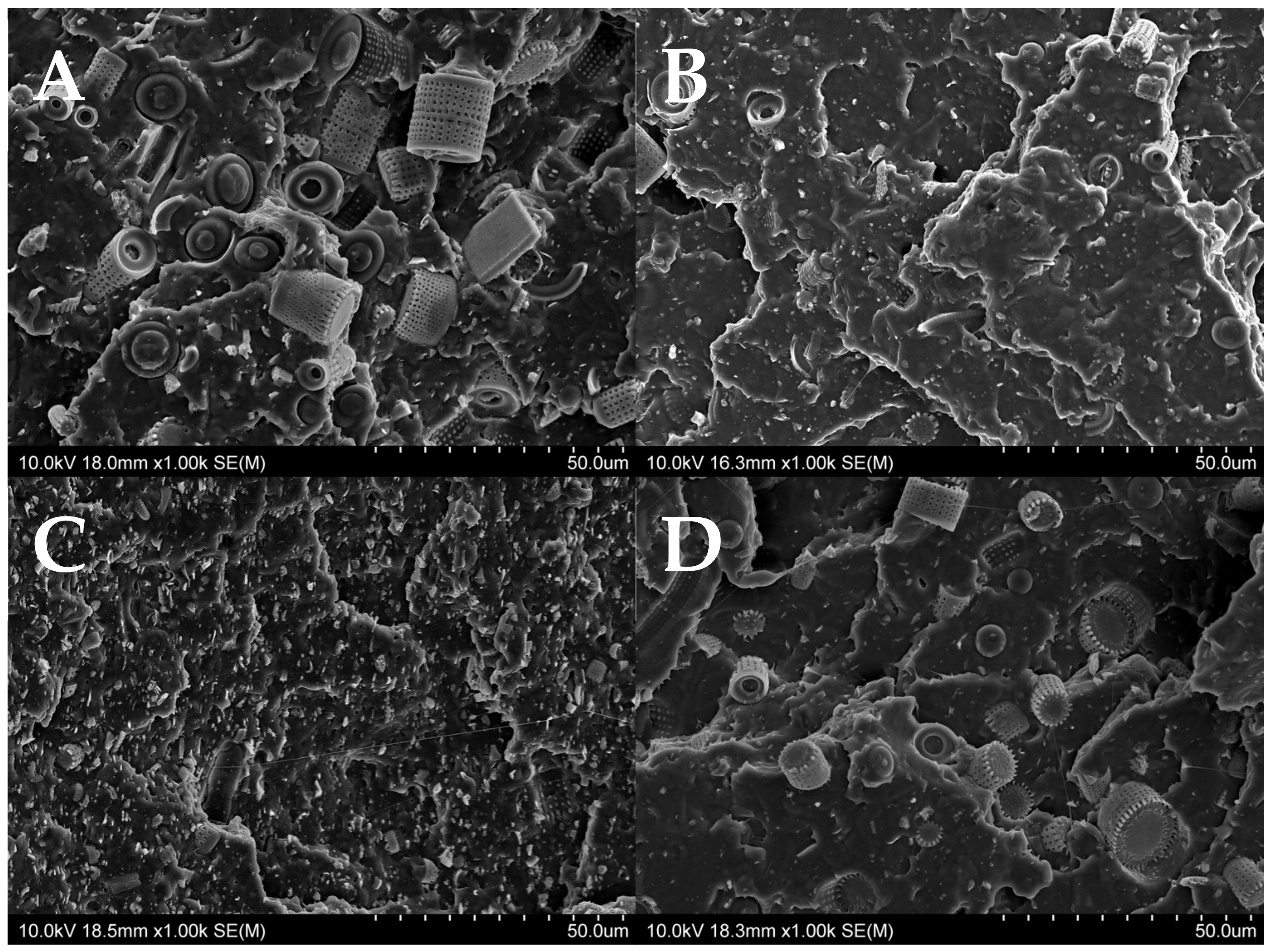 Materials 15 03607 g010 550