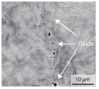 Materials 15 03615 i023