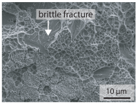 Materials 15 03615 i031