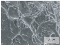 Materials 15 03615 i033