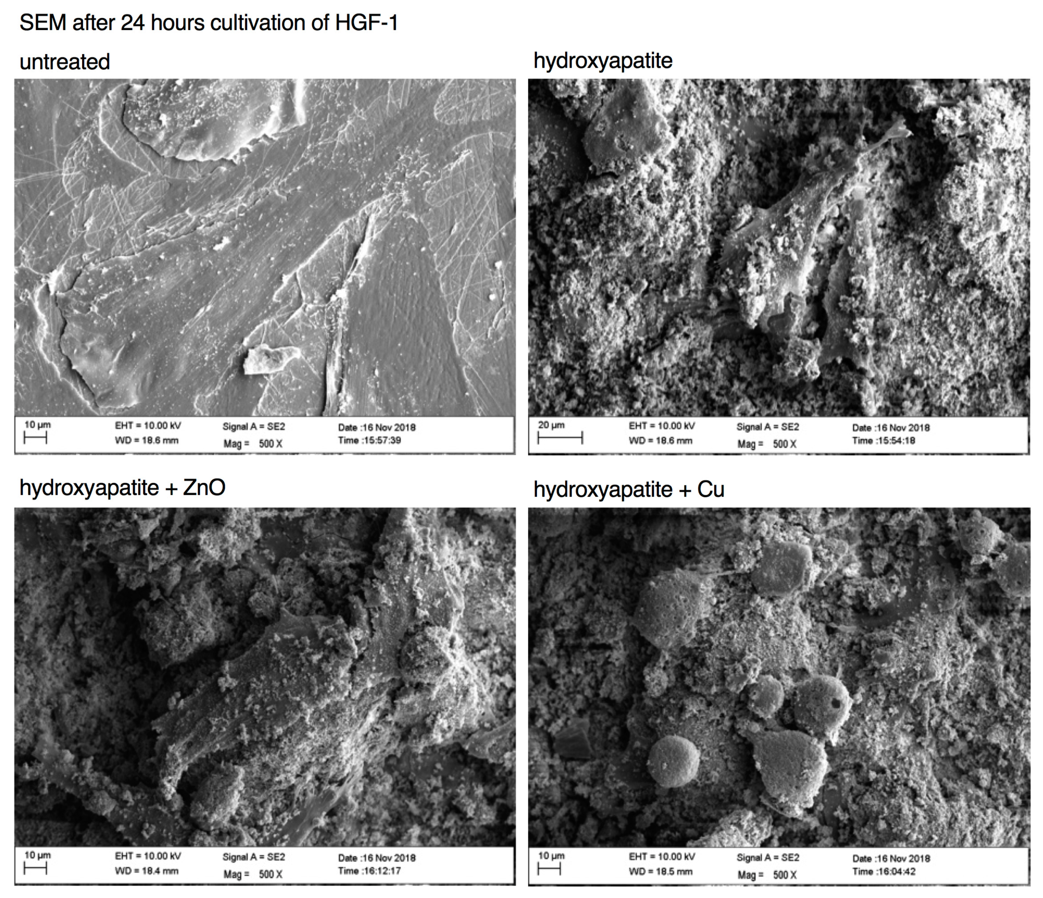 Materials 15 03625 g004