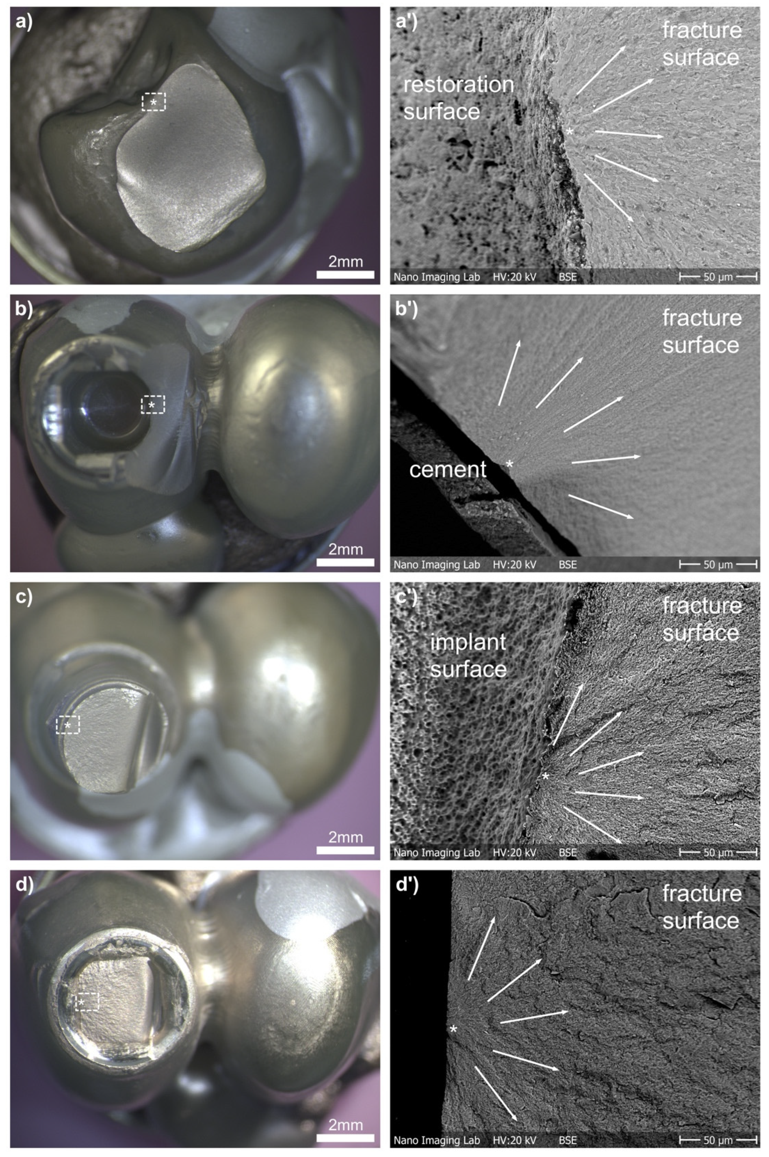 Materials 15 03633 g004 550