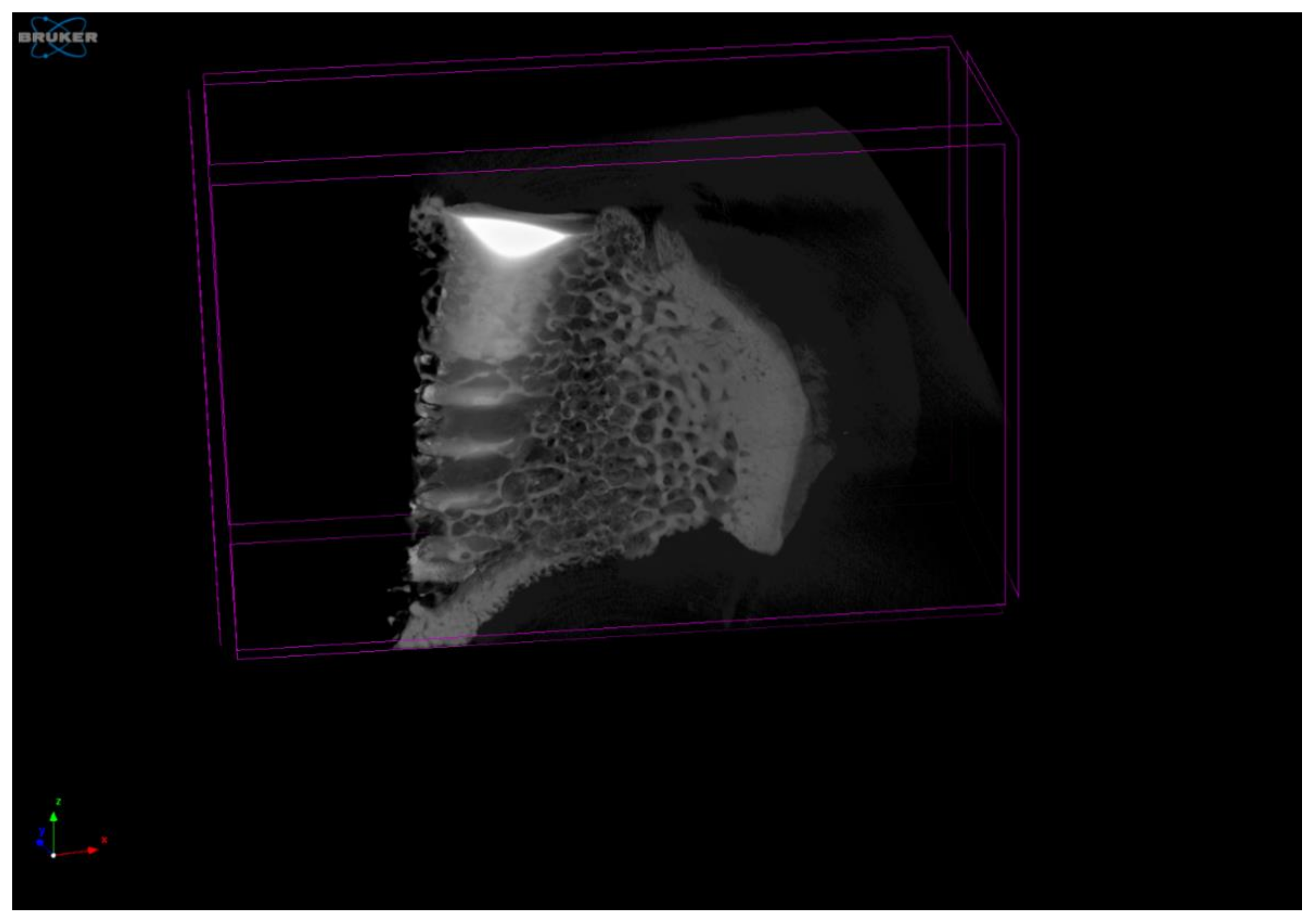 Materials 15 03636 g003 550