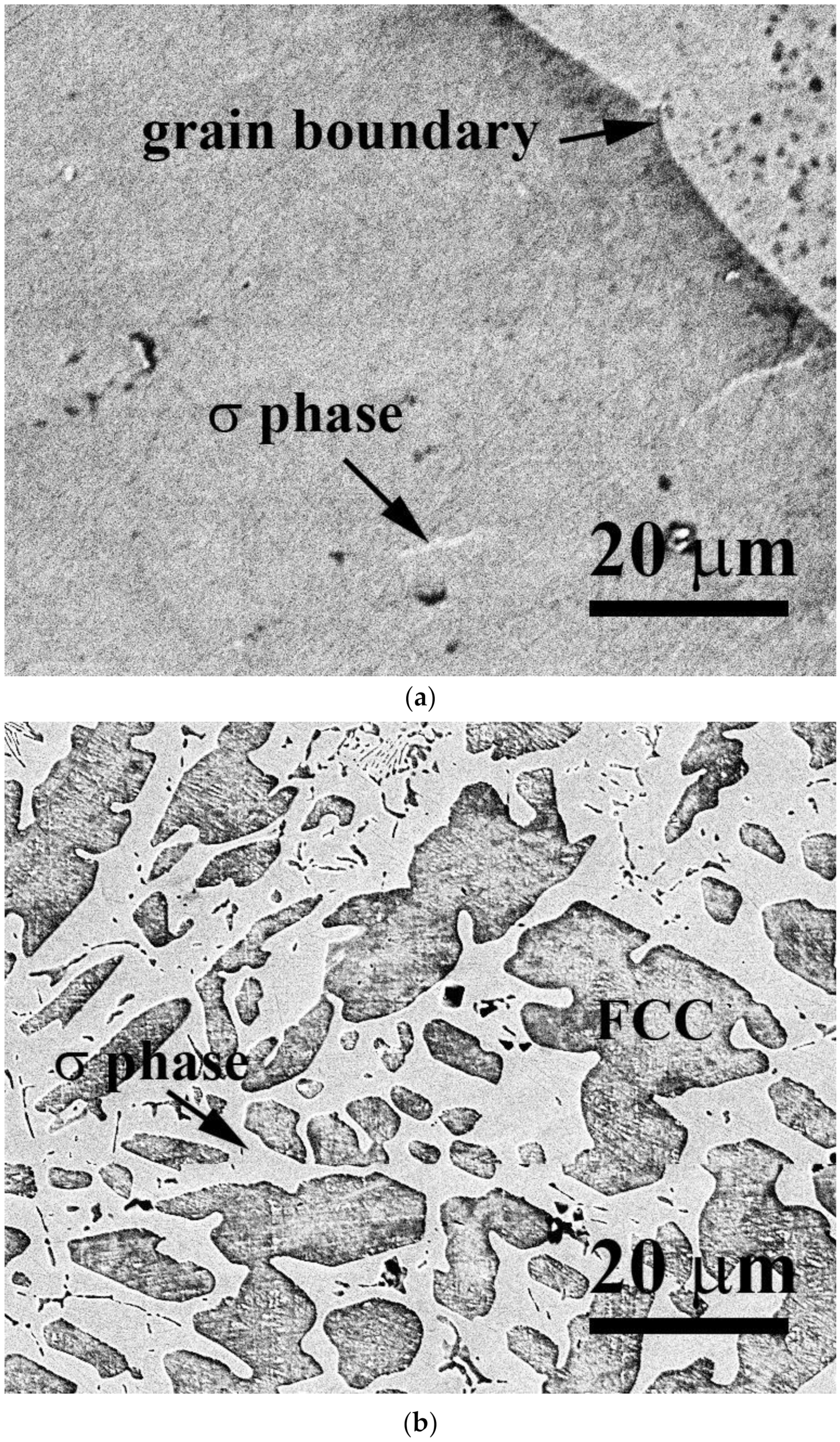 Materials 15 03639 g001 550