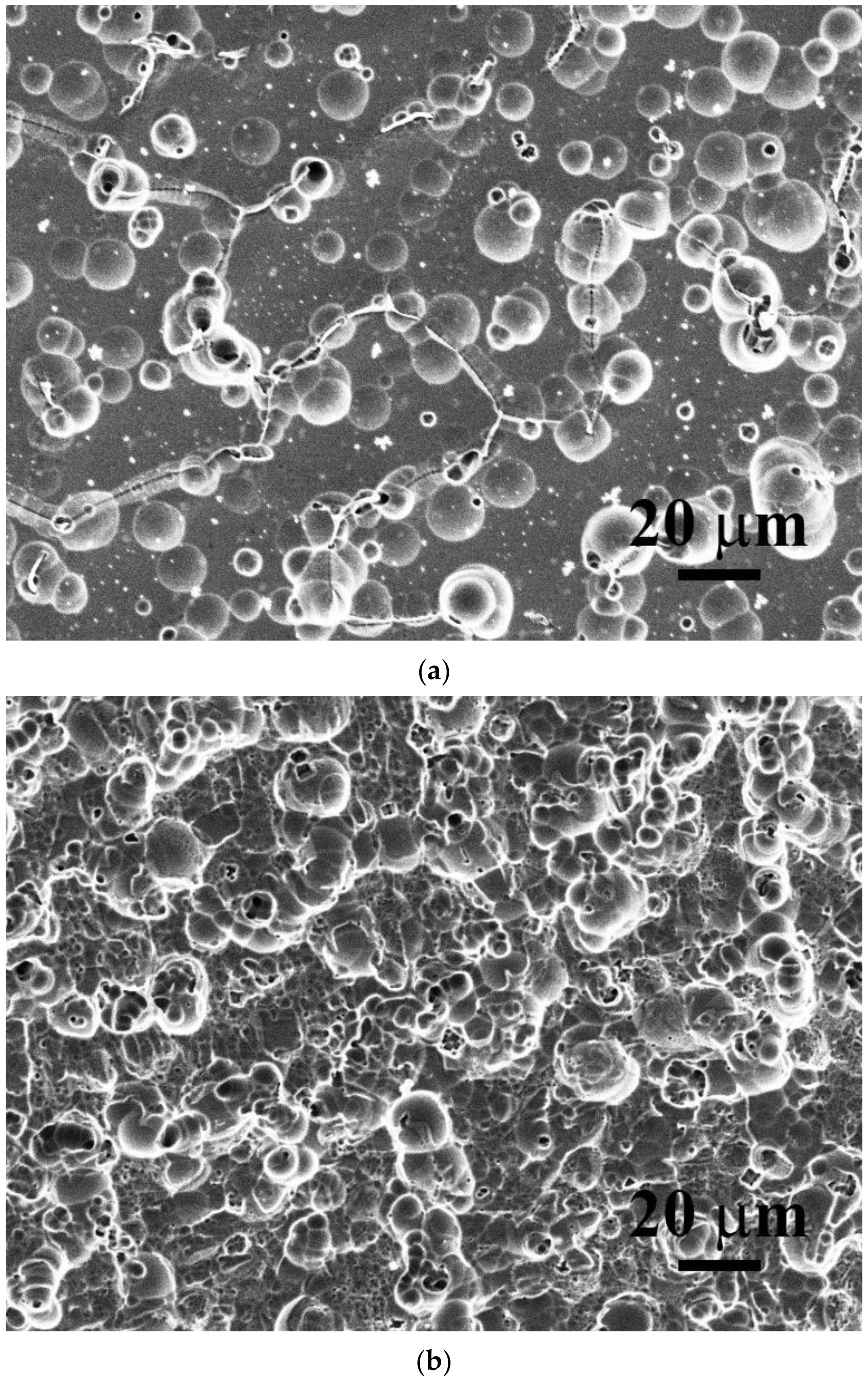 Materials 15 03639 g008 550