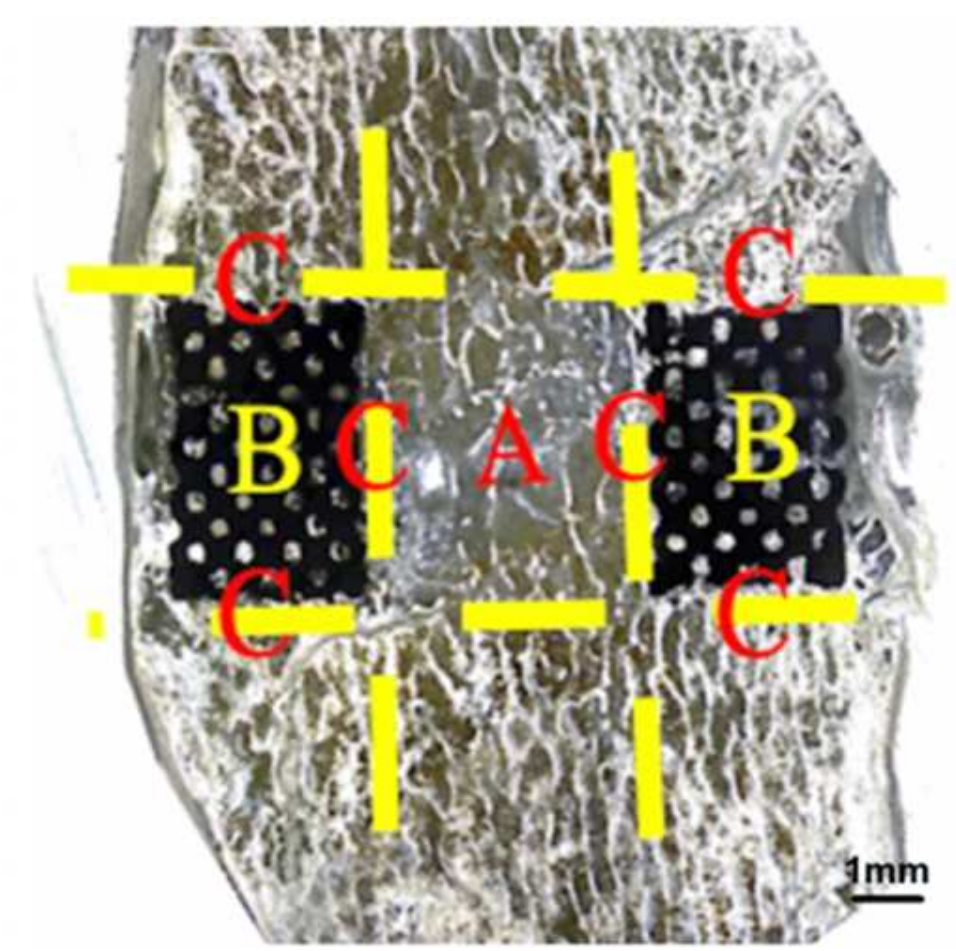 Materials 15 03670 g003