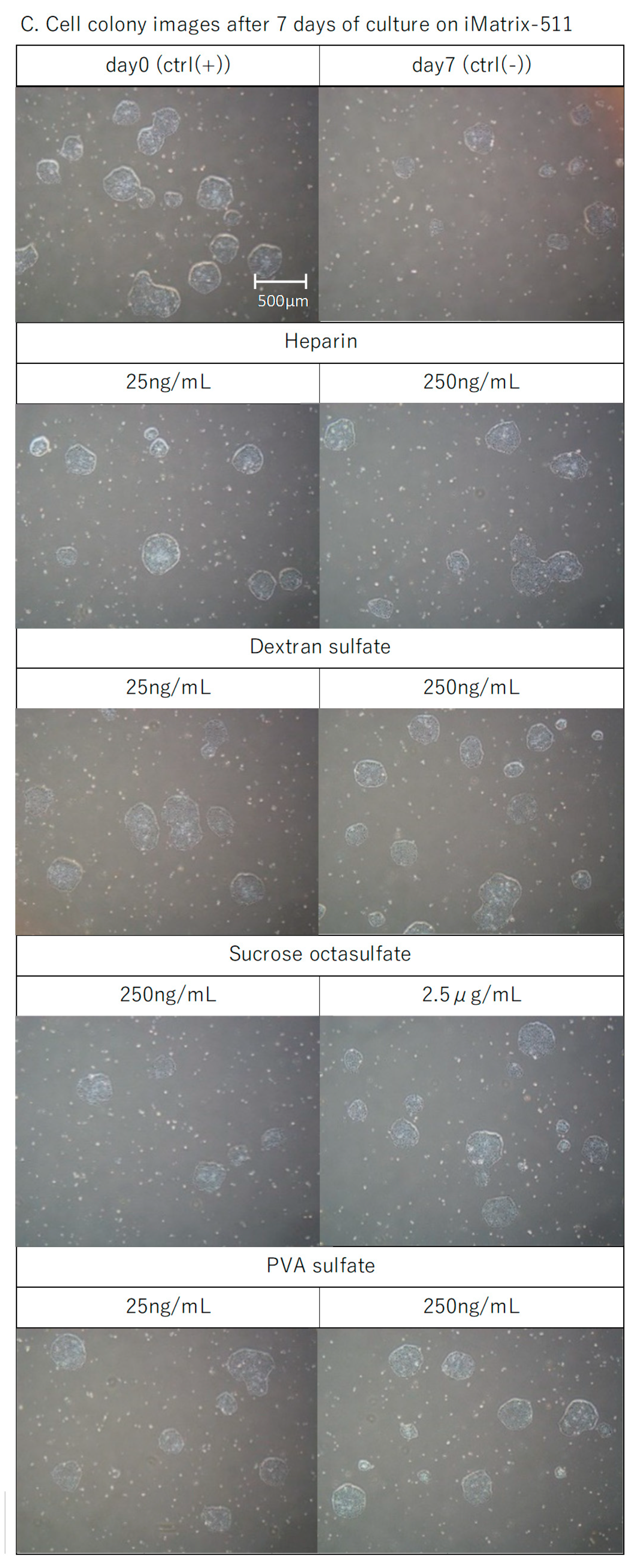 Materials 15 03687 g006b 550