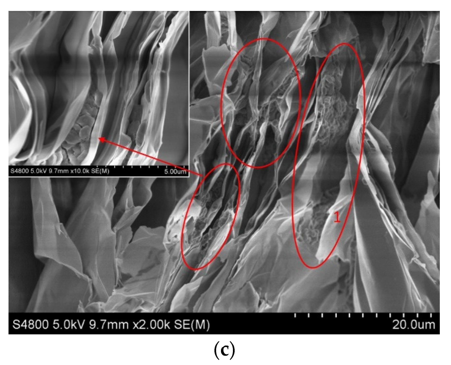 Materials 15 03702 g009b