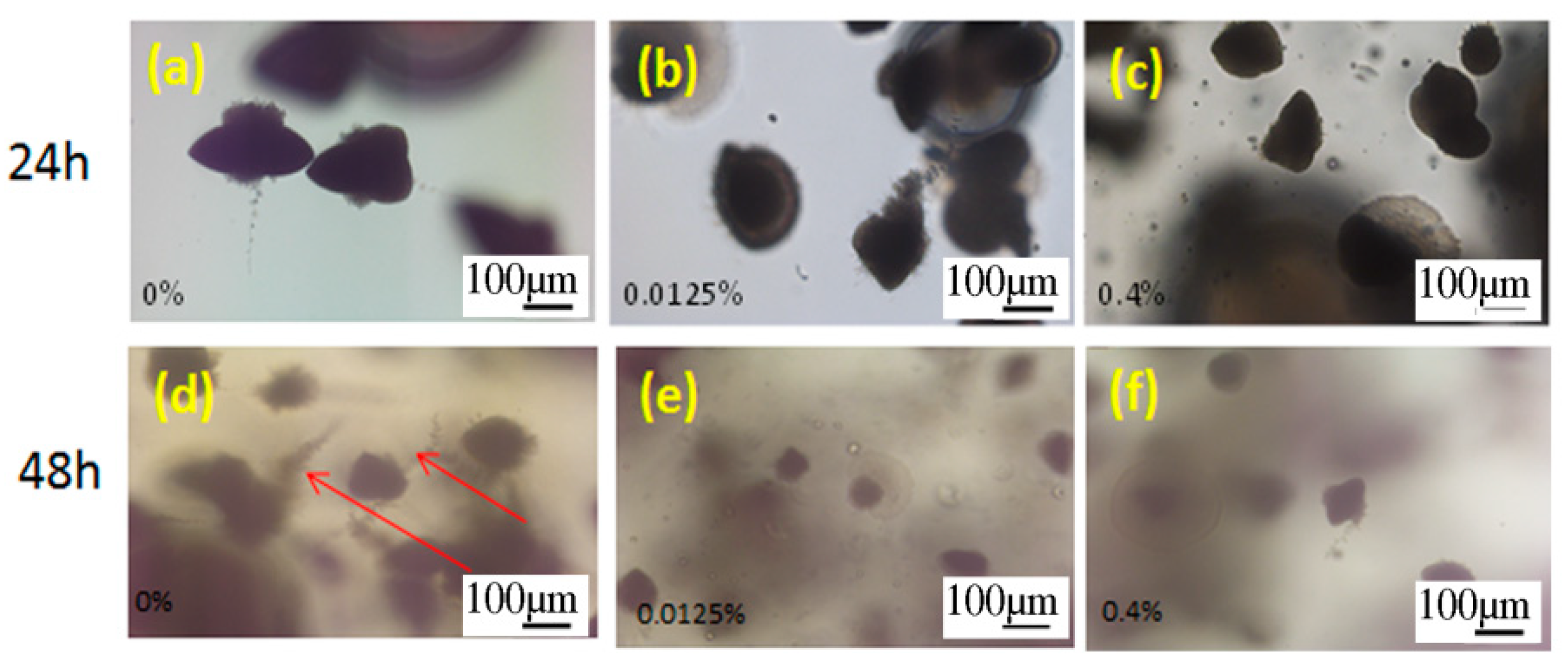 Materials 15 03750 g005 Materials 15 03750 g005