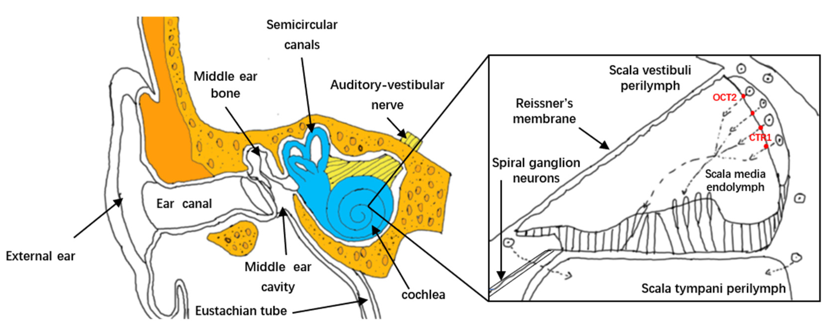 Materials 15 03780 g001 550
