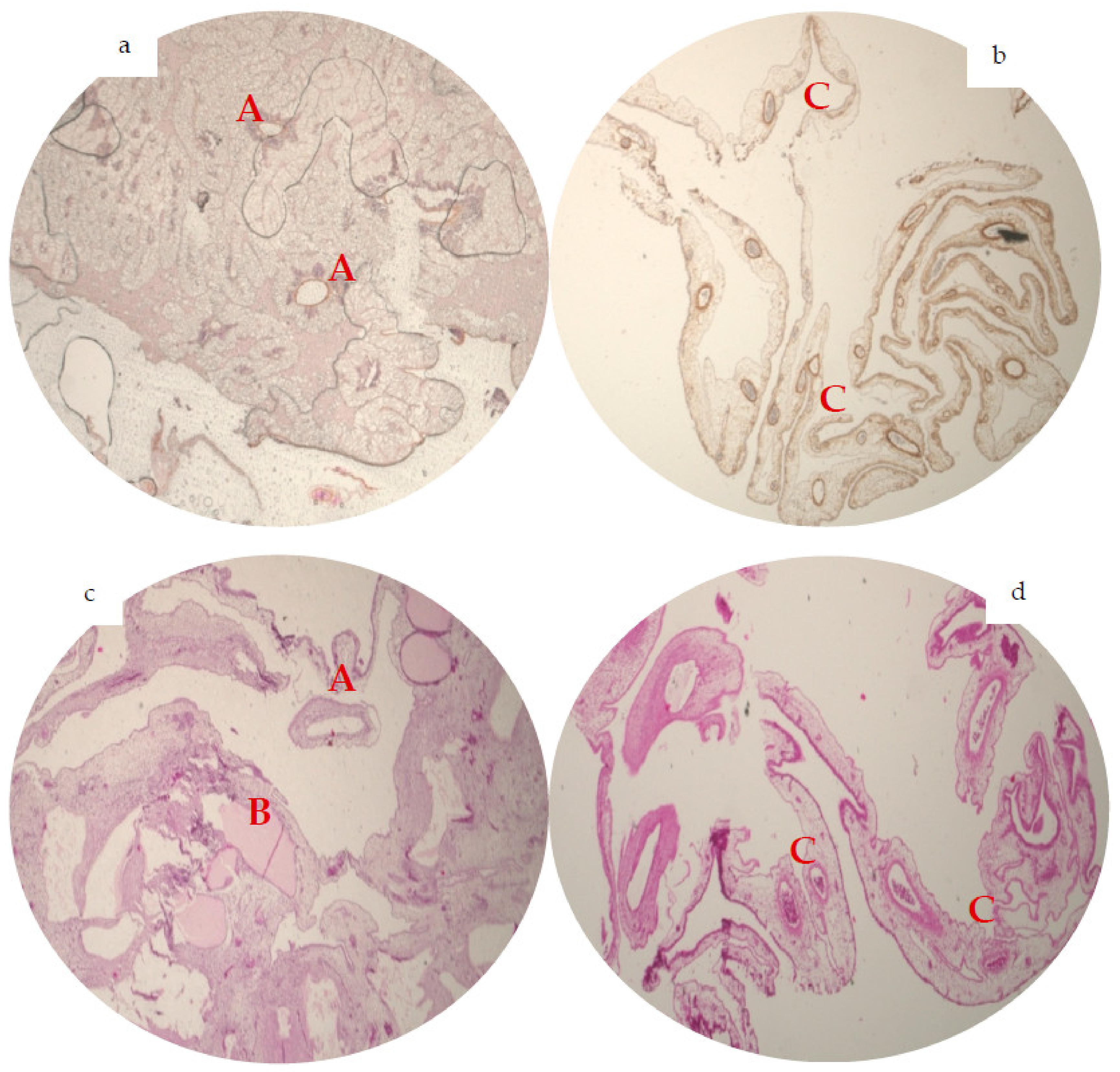 Materials 15 03839 g002 Materials 15 03839 g002