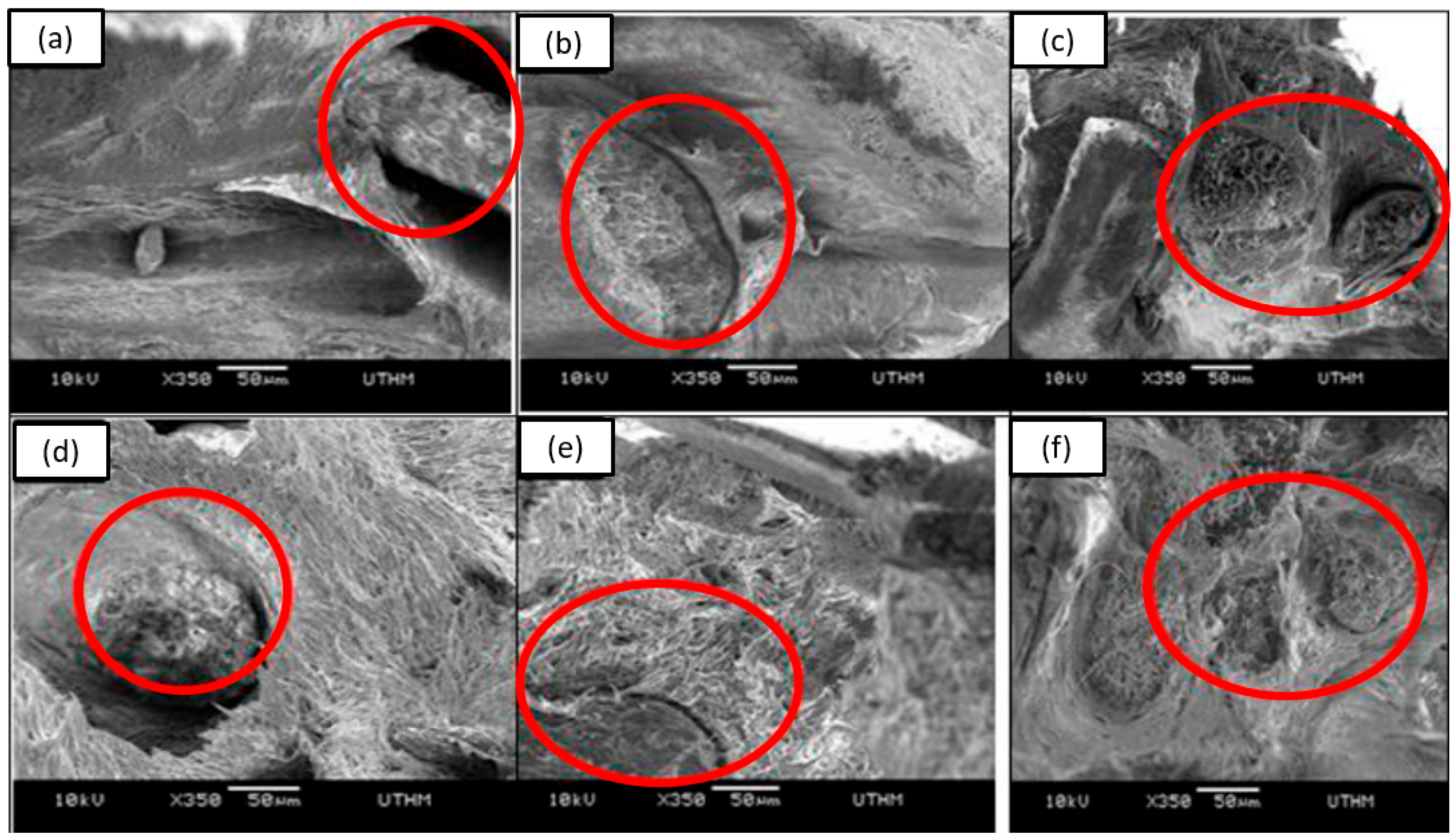 Materials 15 03852 g002