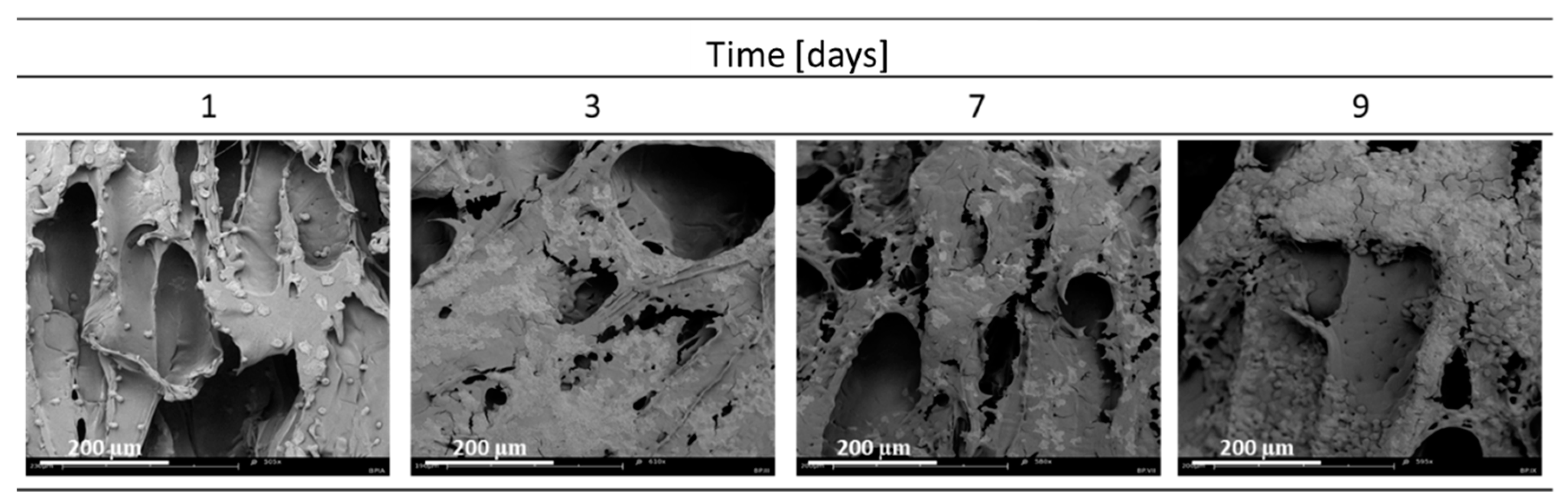 Materials 15 03858 g001 Materials 15 03858 g001