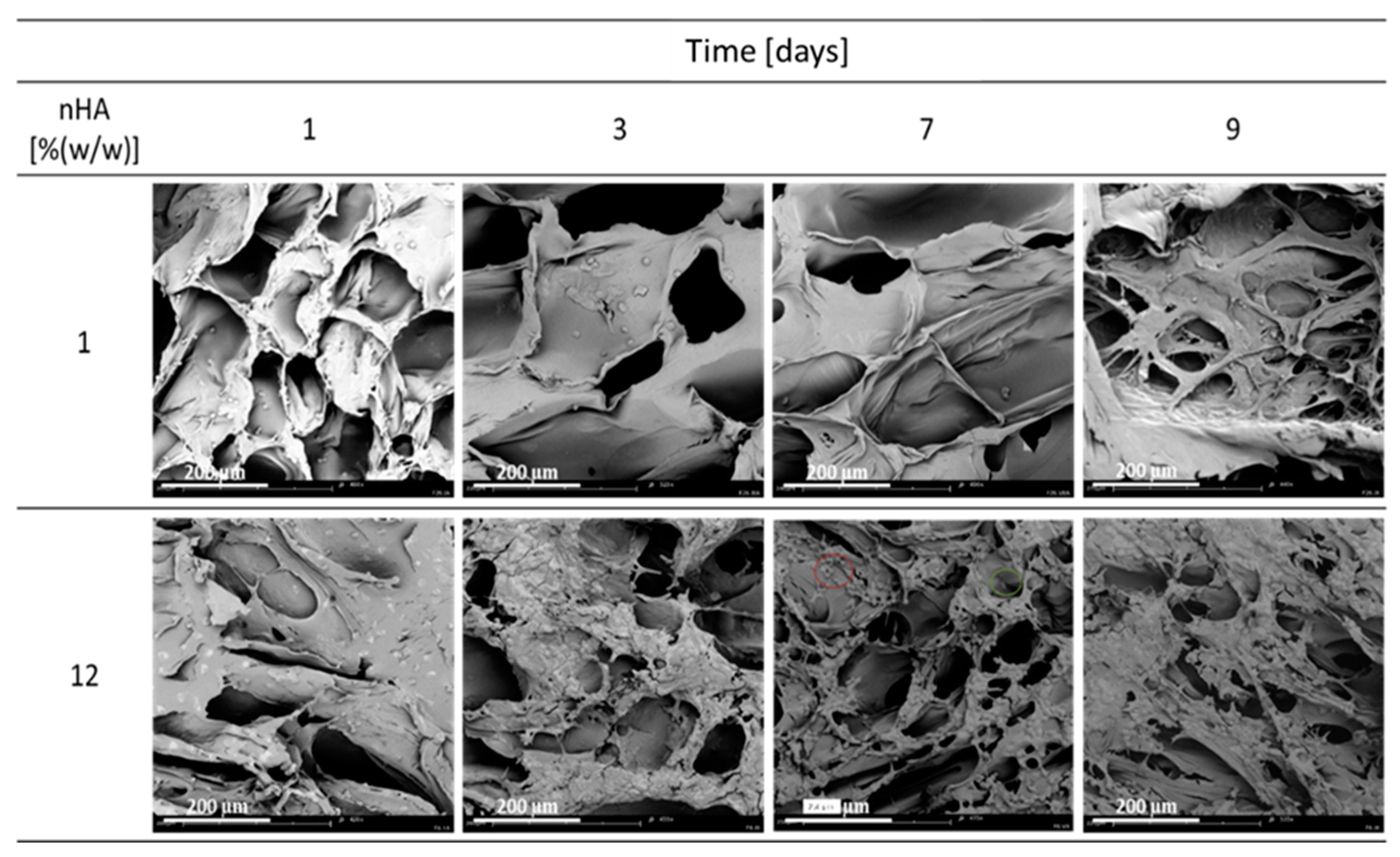 Materials 15 03858 g003 Materials 15 03858 g003