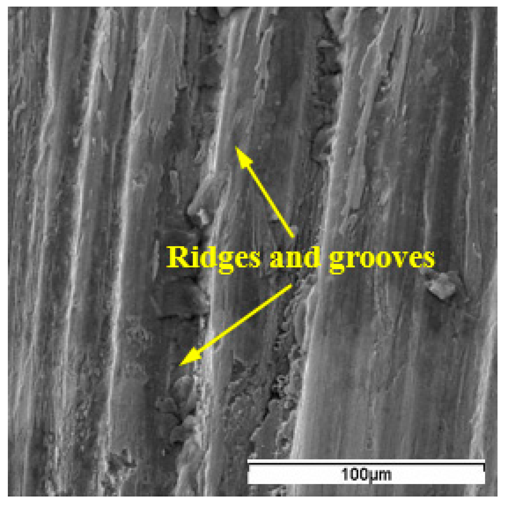 Materials 15 03860 g005