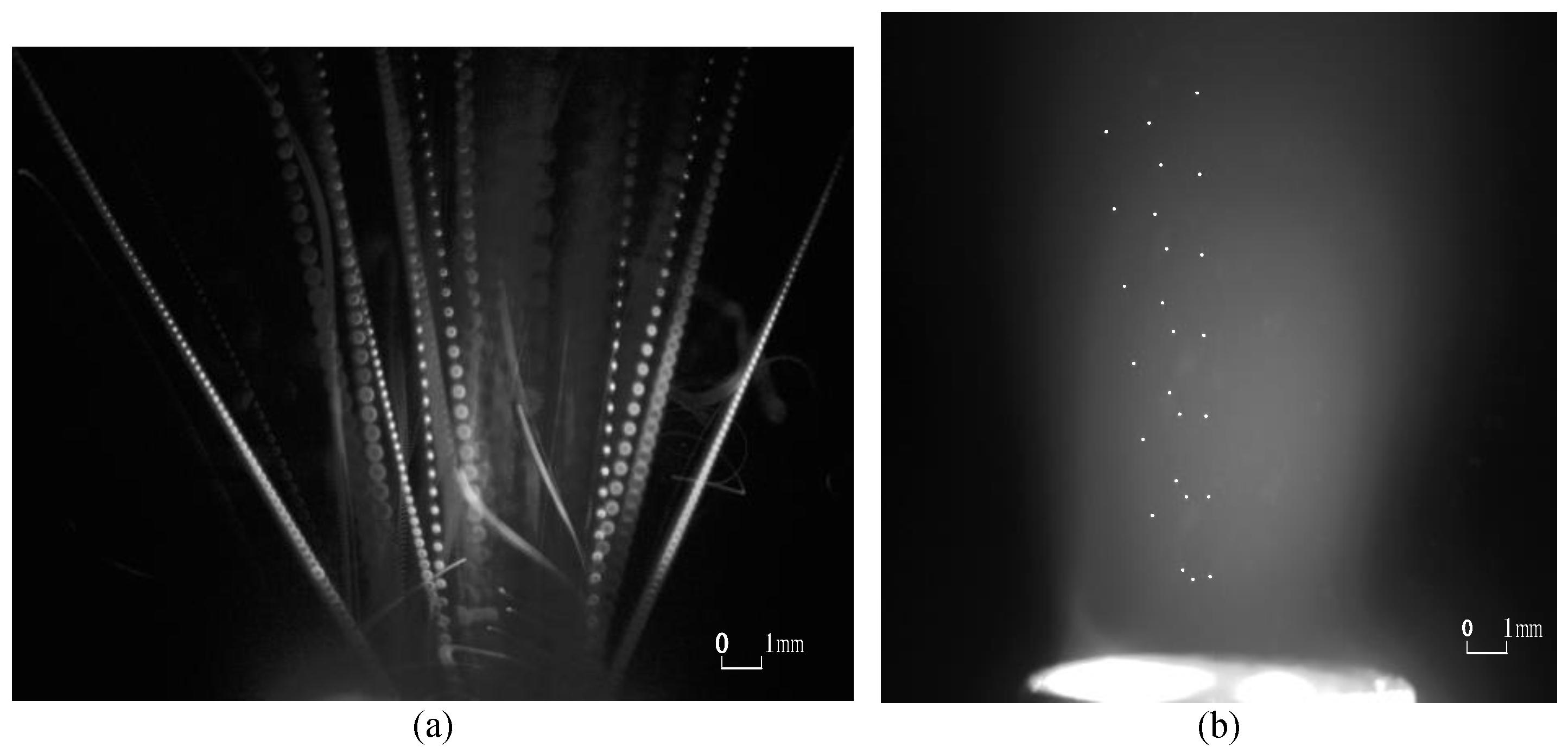 Materials 15 03871 g004 550