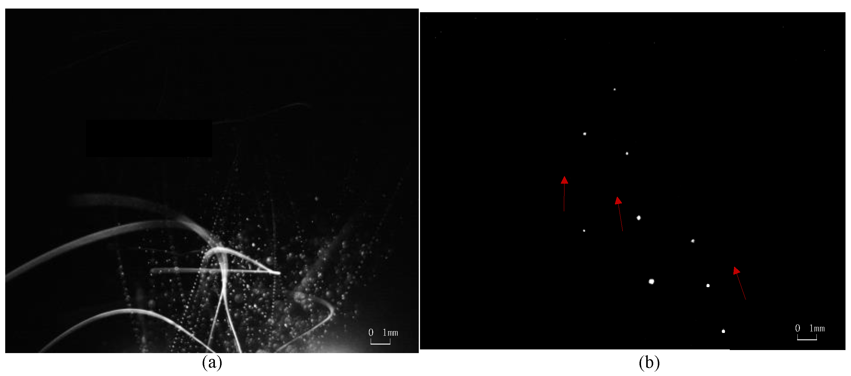 Materials 15 03871 g006 550