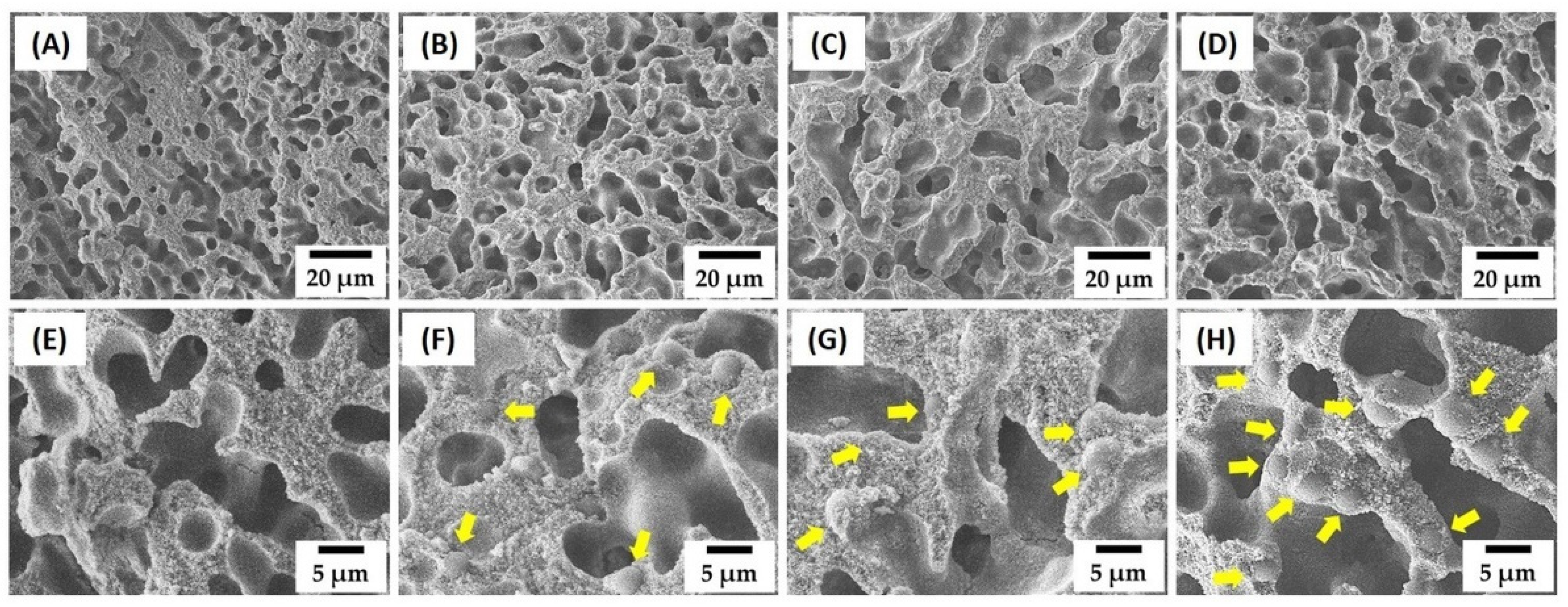 Materials 15 03875 g002