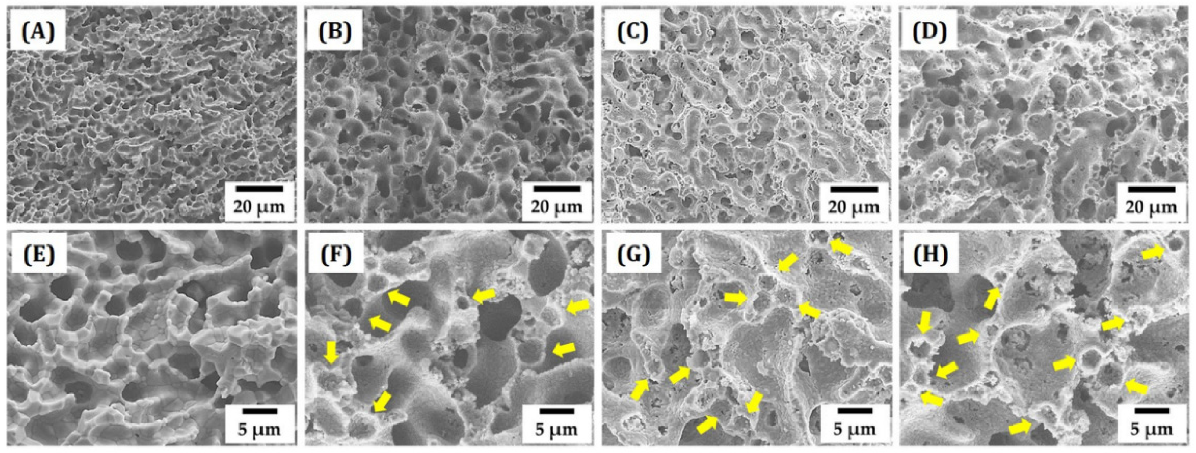 Materials 15 03875 g003