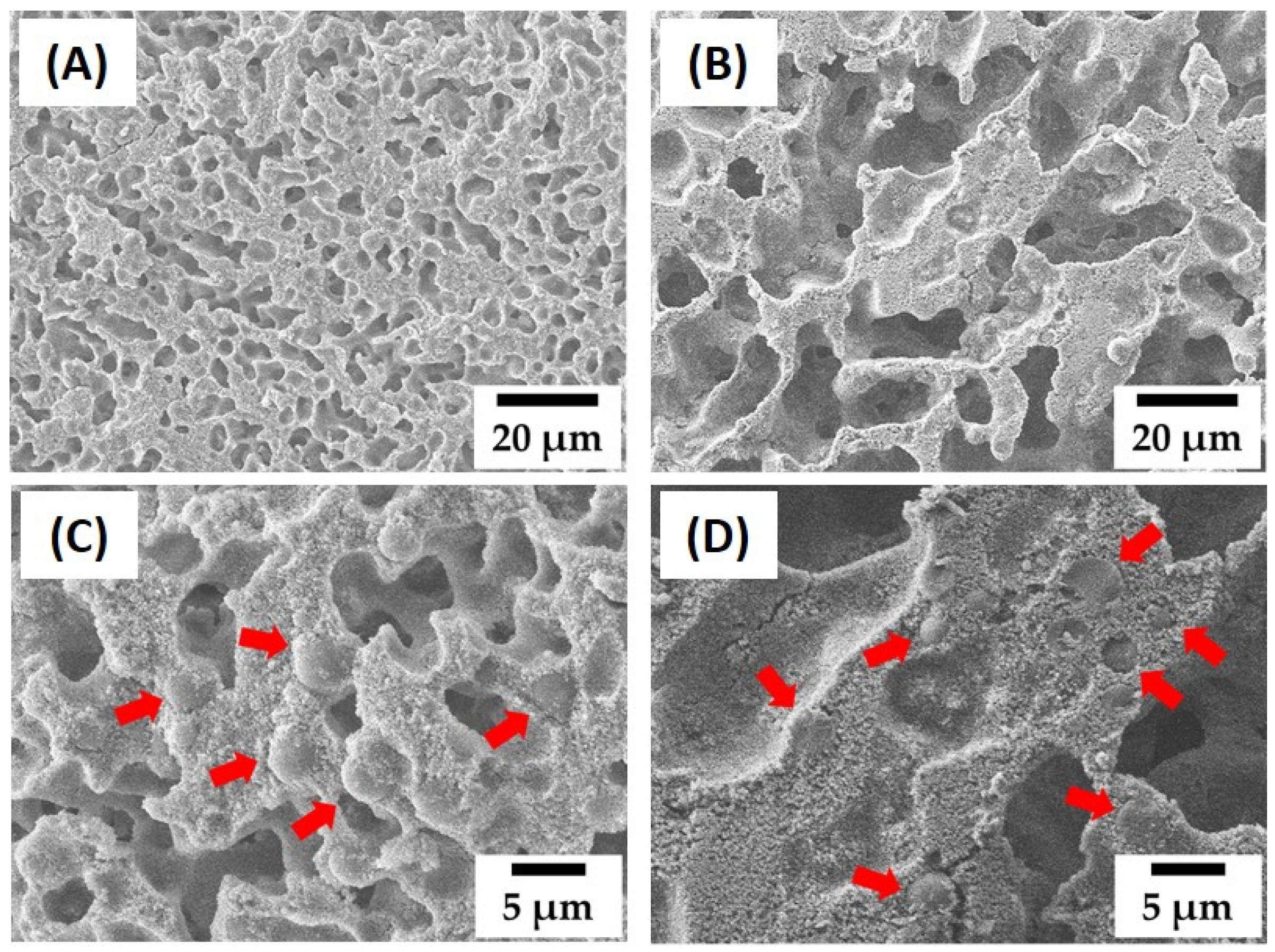 Materials 15 03875 g006