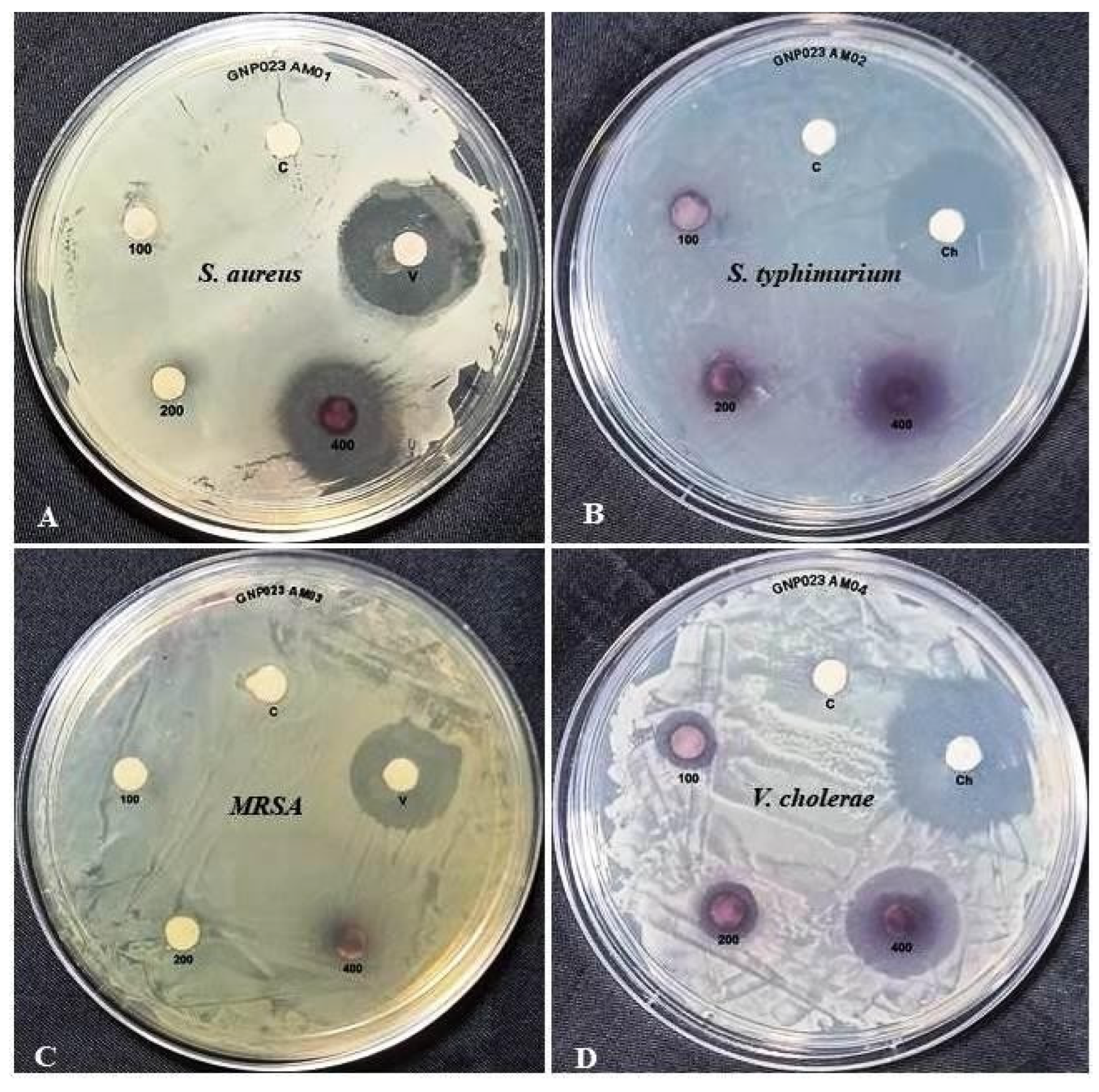 Materials 15 03877 g008 Materials 15 03877 g008