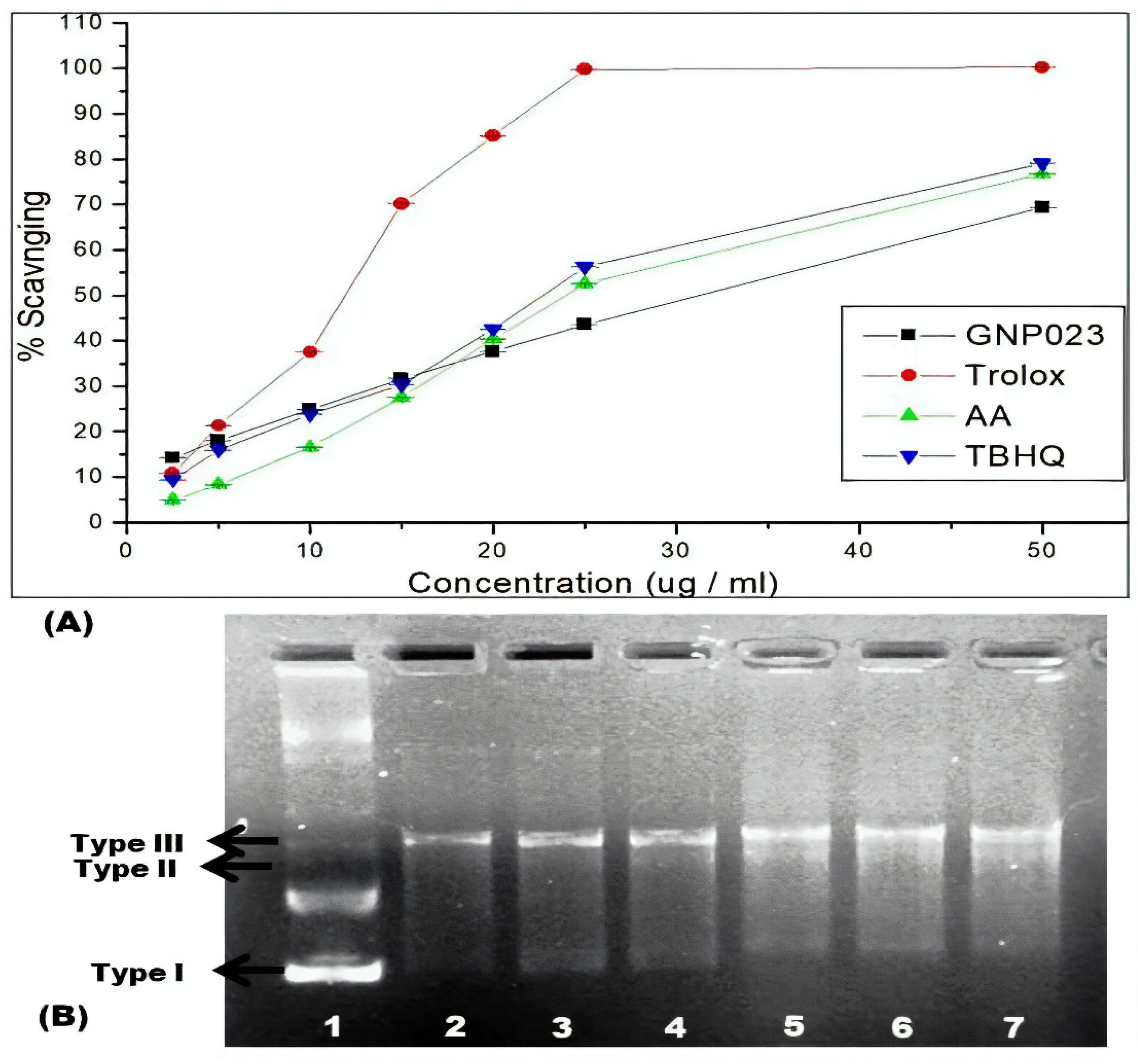 Materials 15 03877 g010 Materials 15 03877 g010