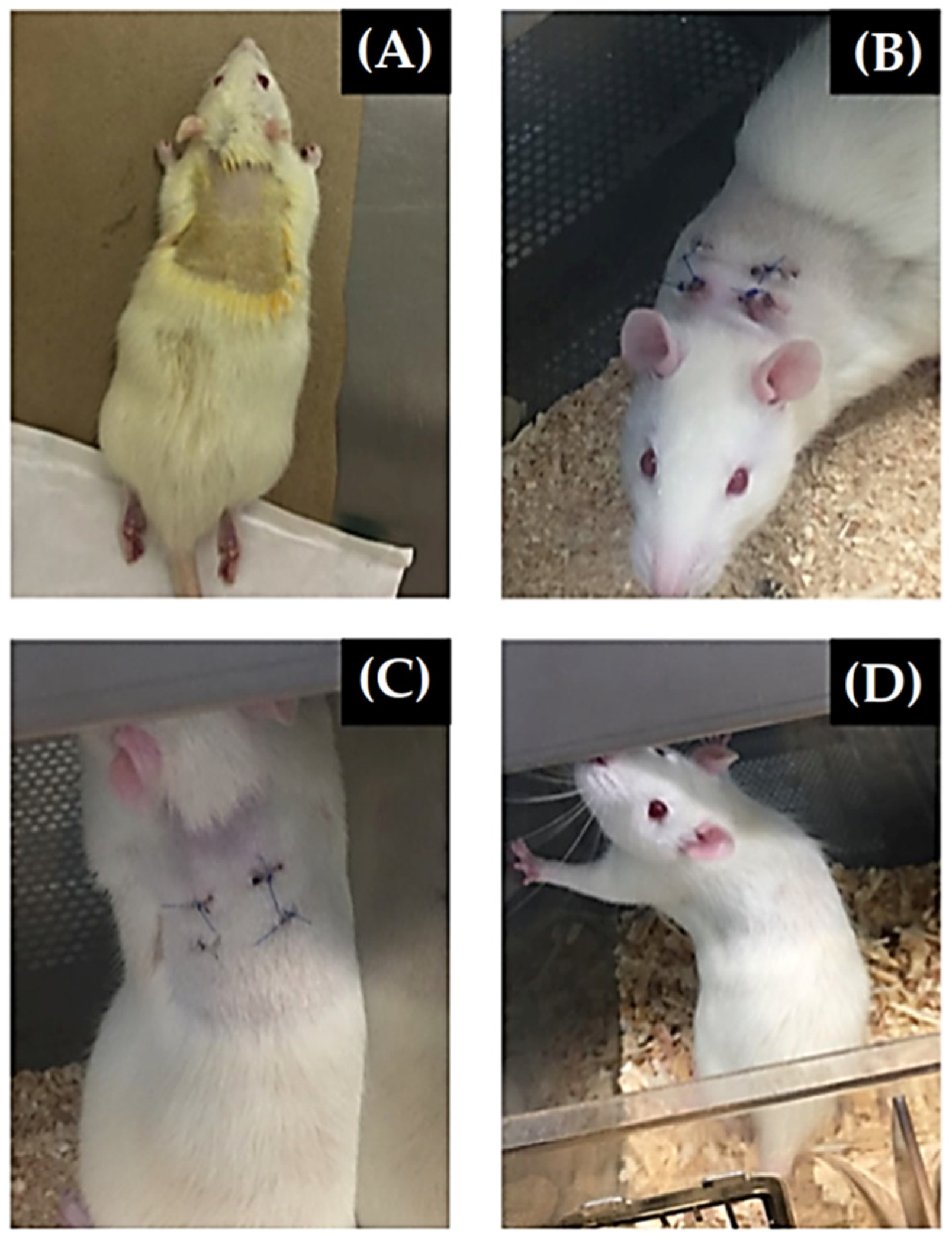 Materials 15 03909 g003 550