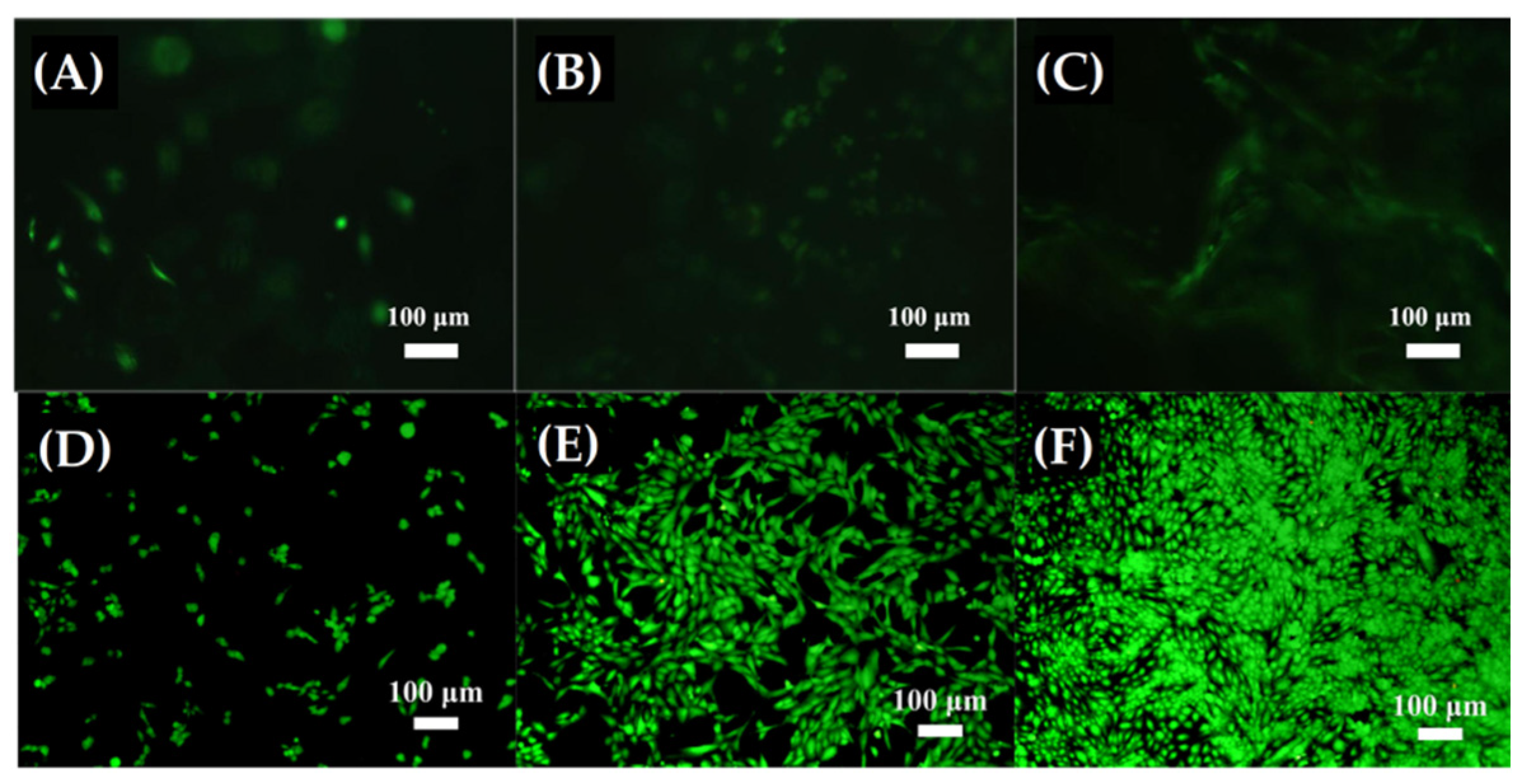 Materials 15 03909 g007 550
