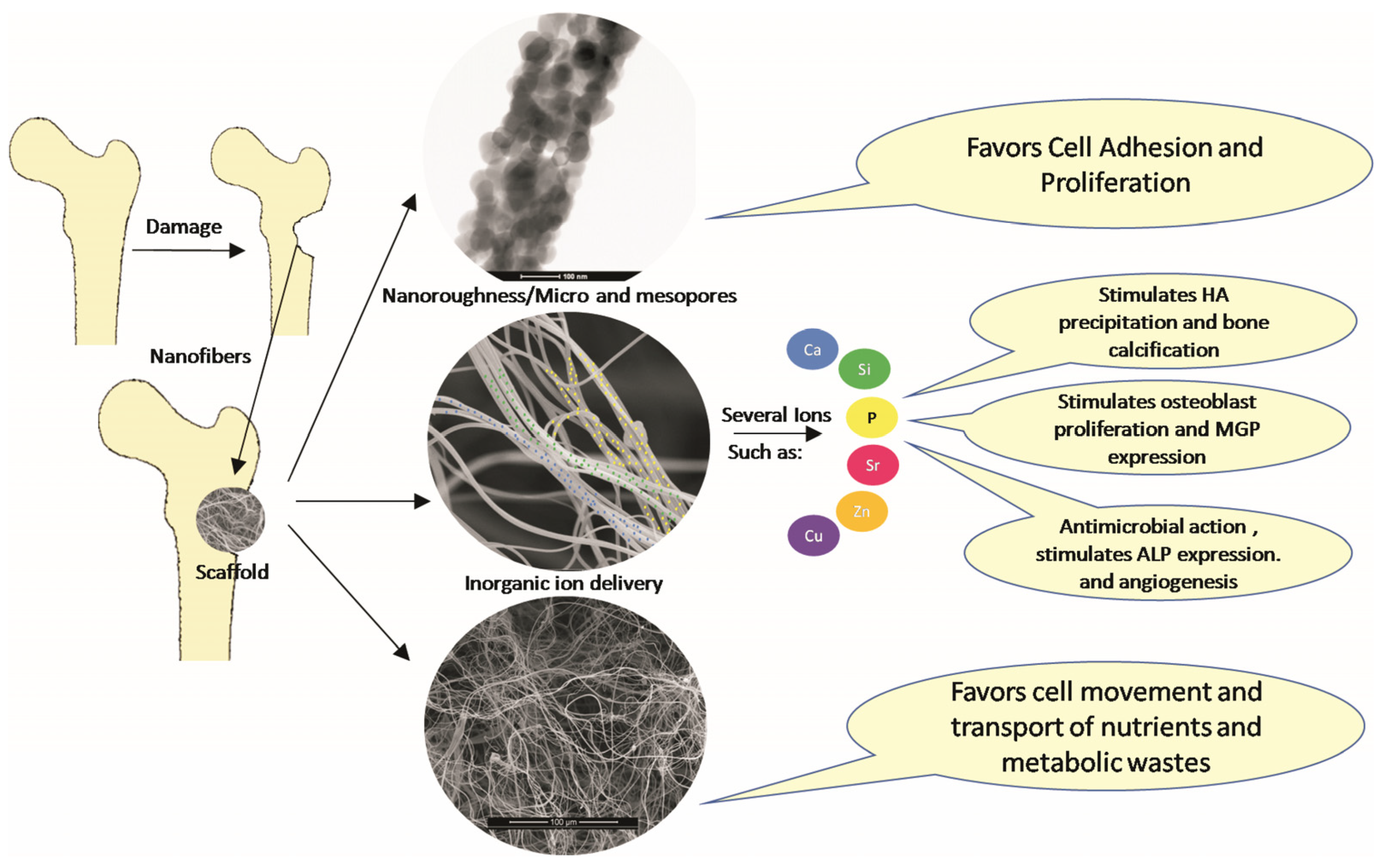 Materials 15 03909 g011 550