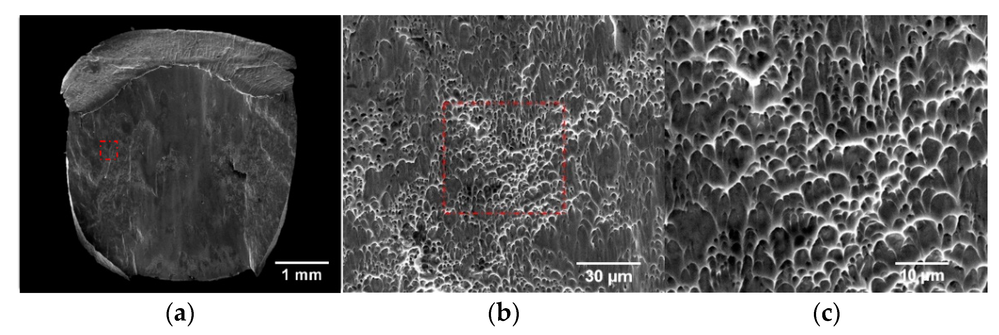 Materials 15 03917 g017