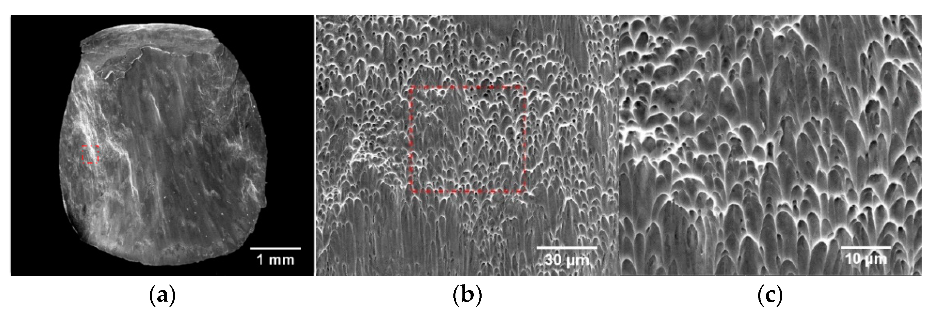 Materials 15 03917 g018