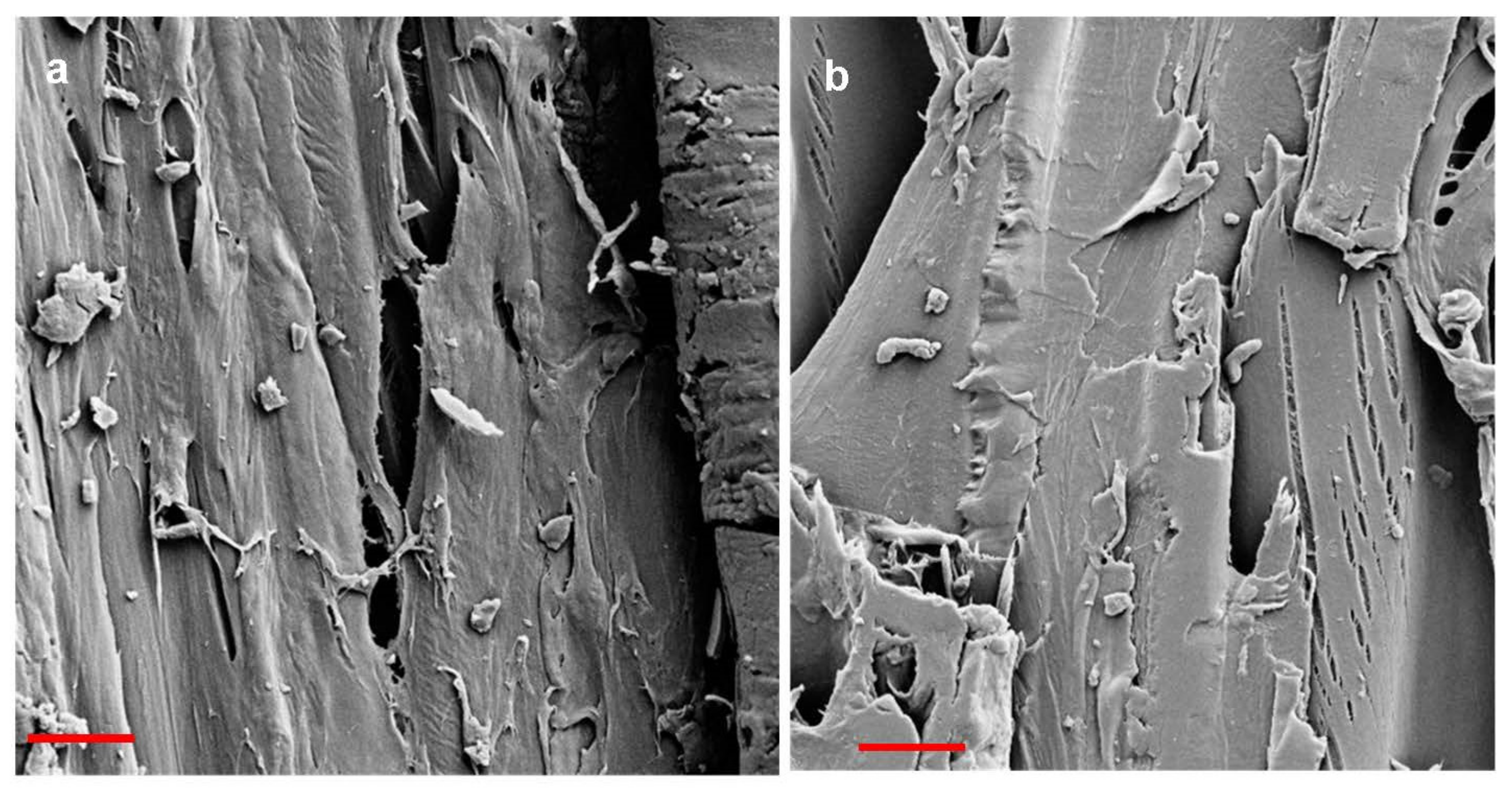 Materials 15 03951 g007