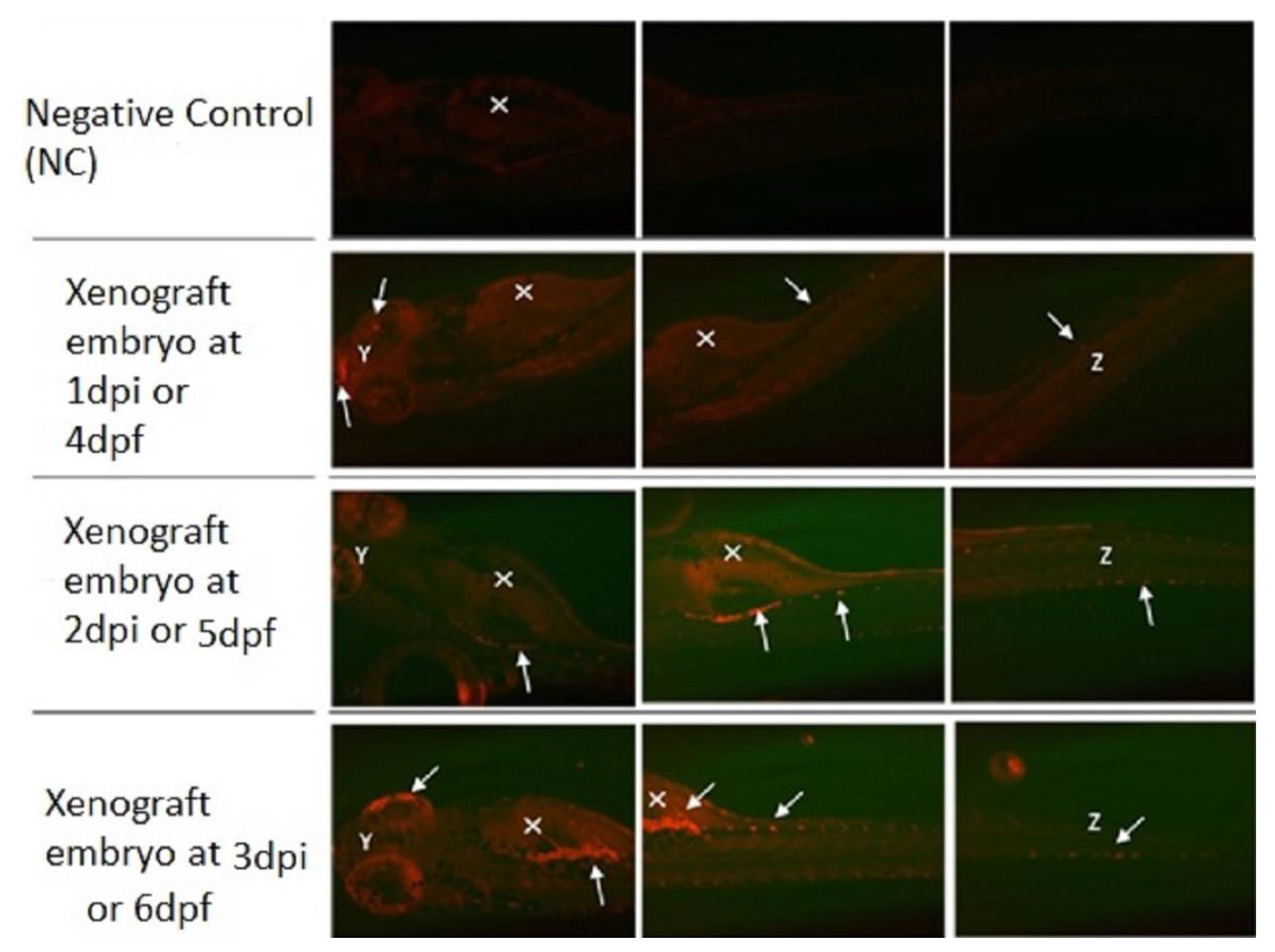 Materials 15 03960 g007 550