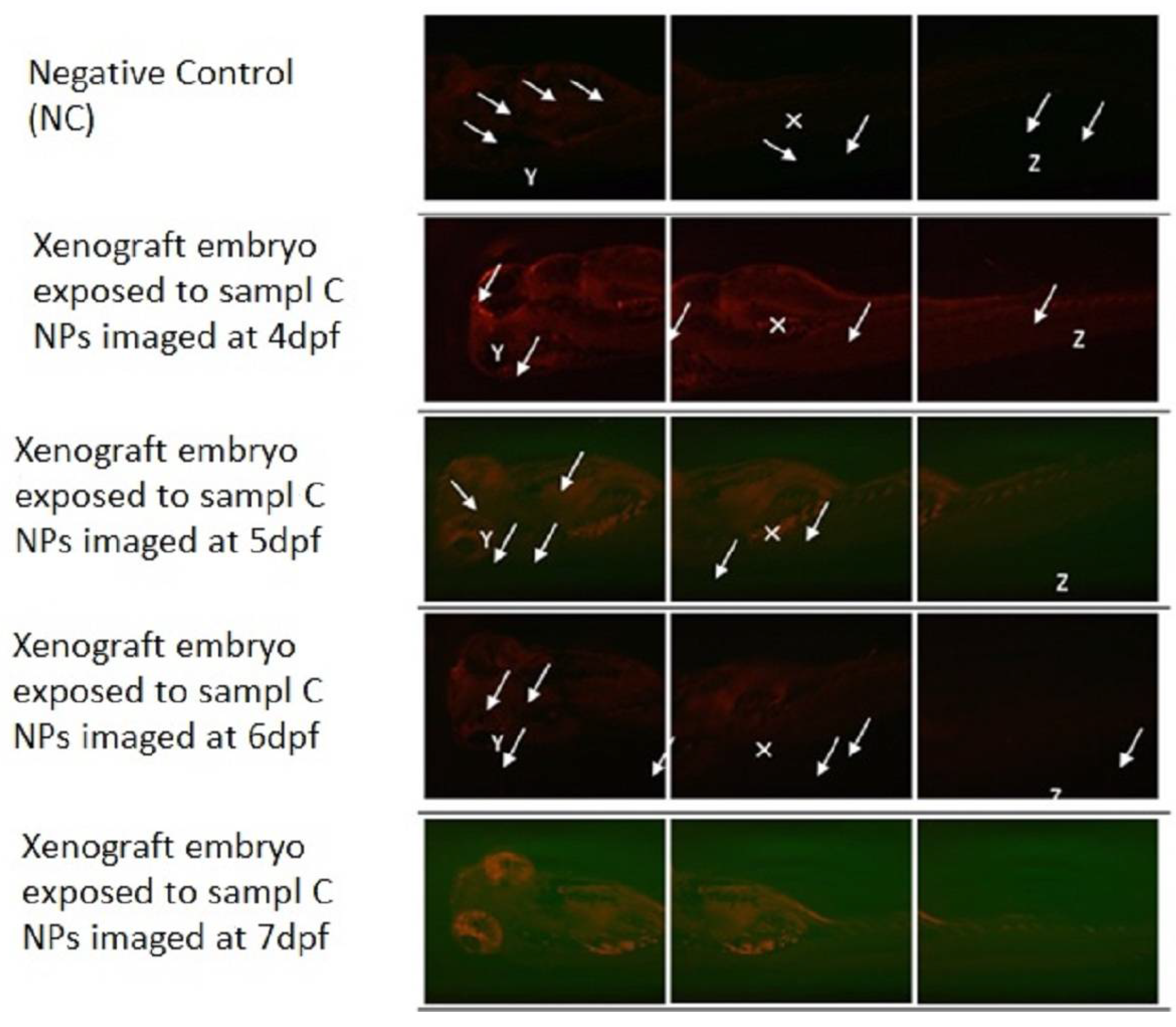 Materials 15 03960 g010 550