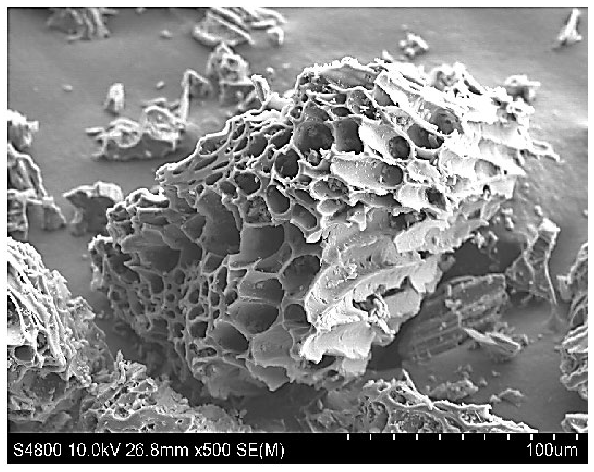 Materials 15 03969 g007