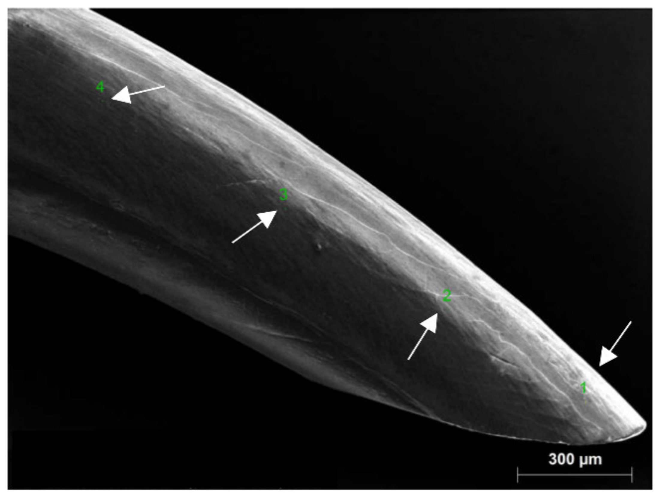 Materials 15 03993 g001